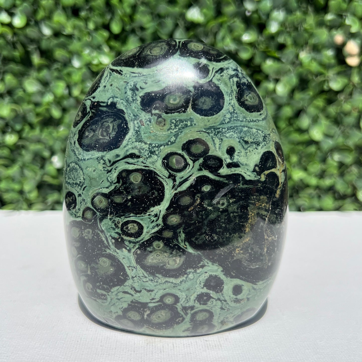Kambaba Jasper Free Form
