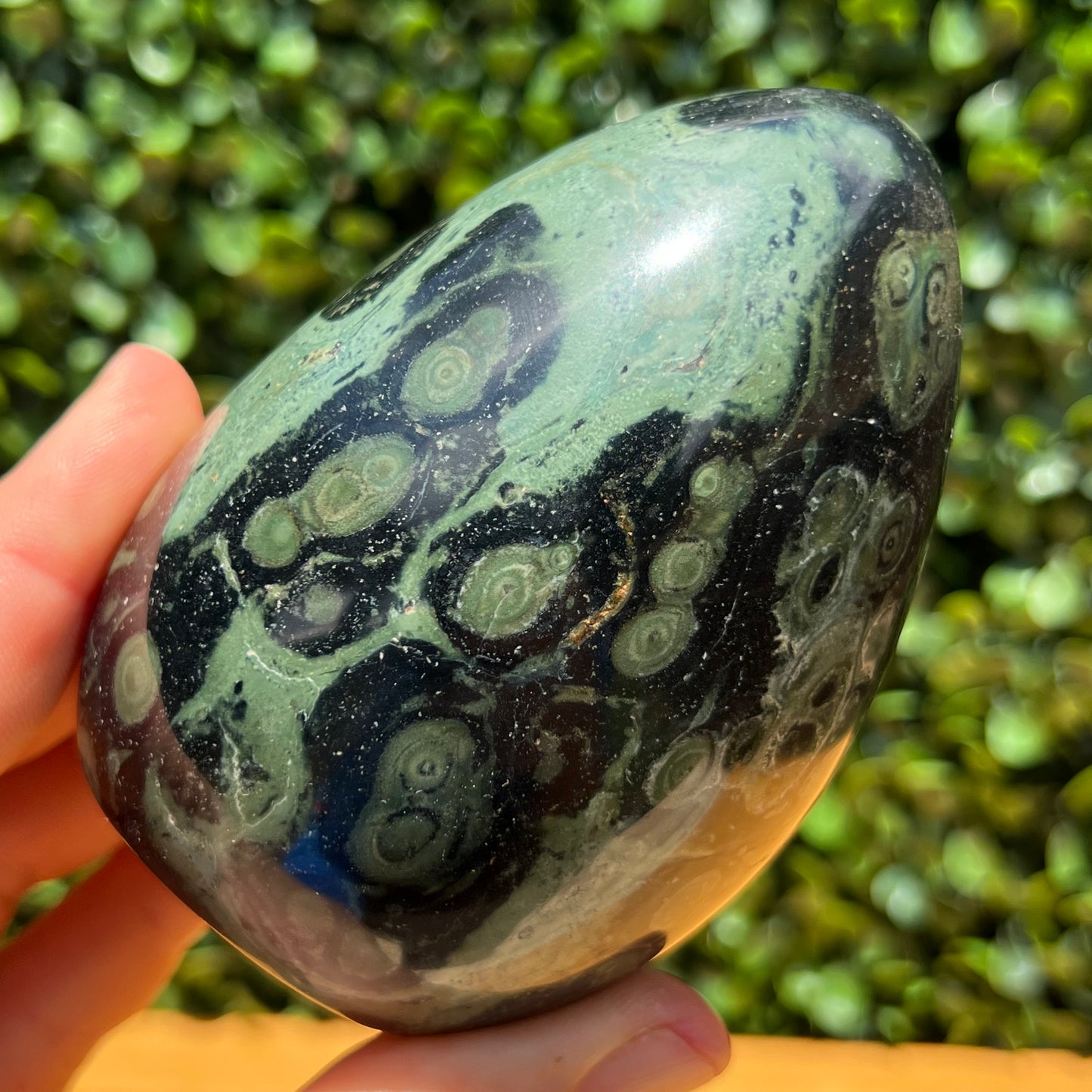 Kambaba Jasper Free Form