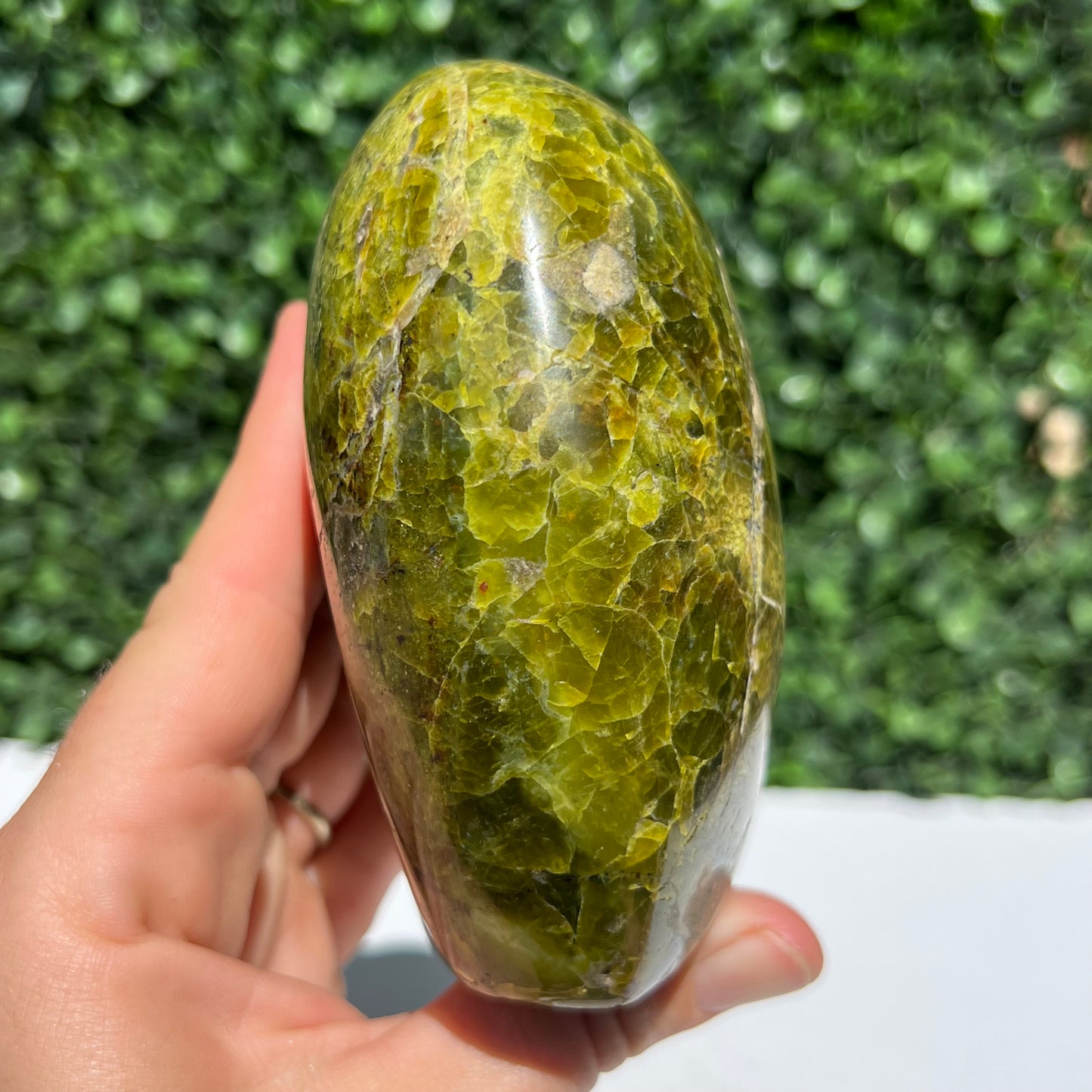 Kiwi Opal Free Form