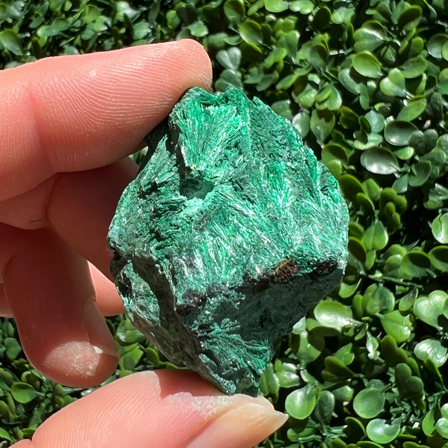 Fibrous Malachite Specimen