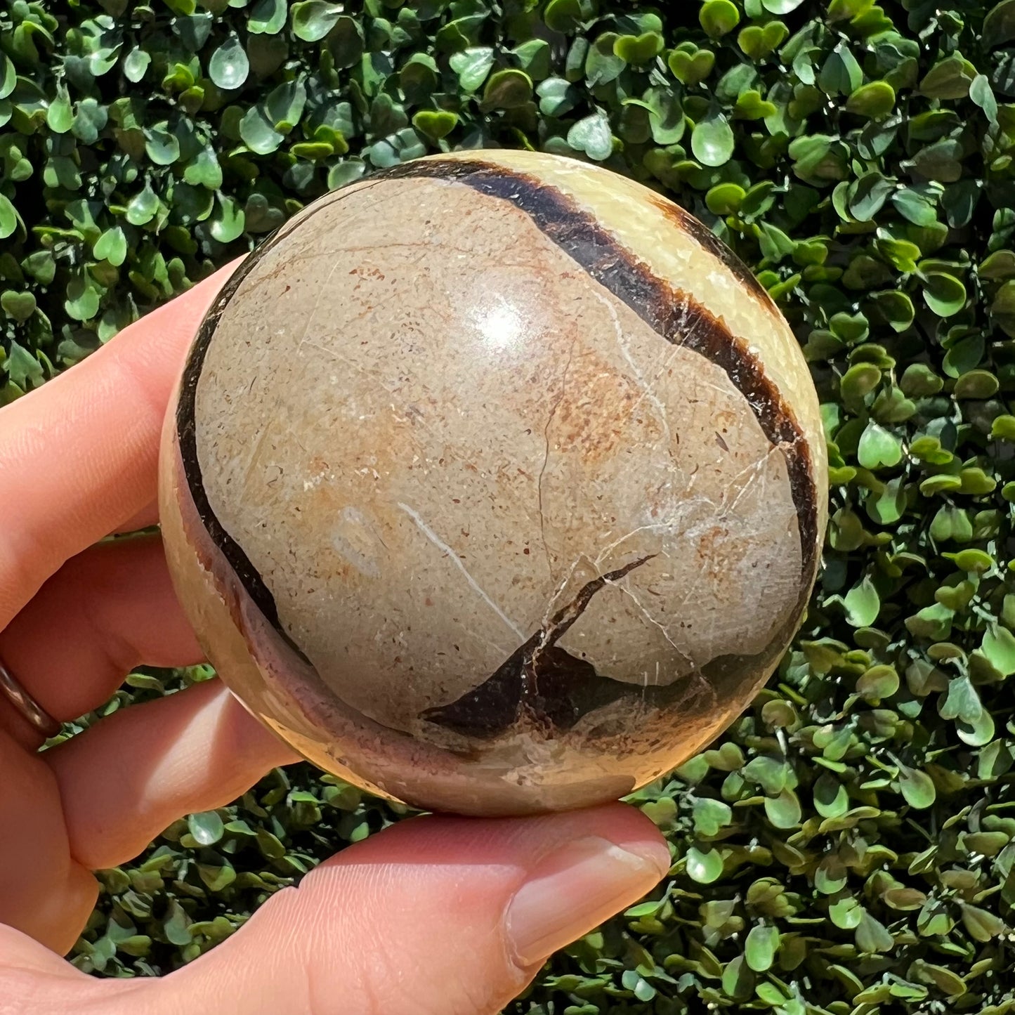Septarian Yellow Calcite Sphere
