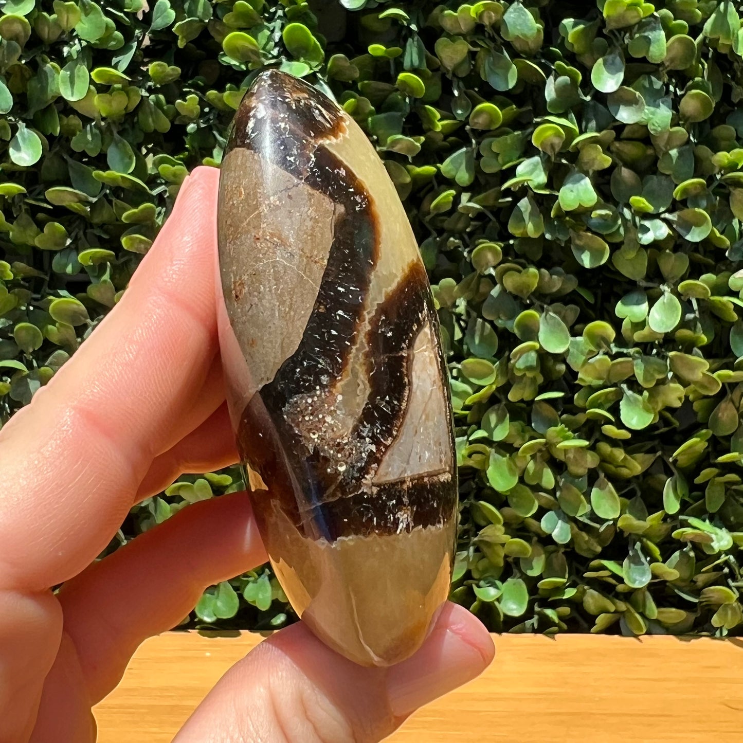 Septarian Yellow Calcite Free Form