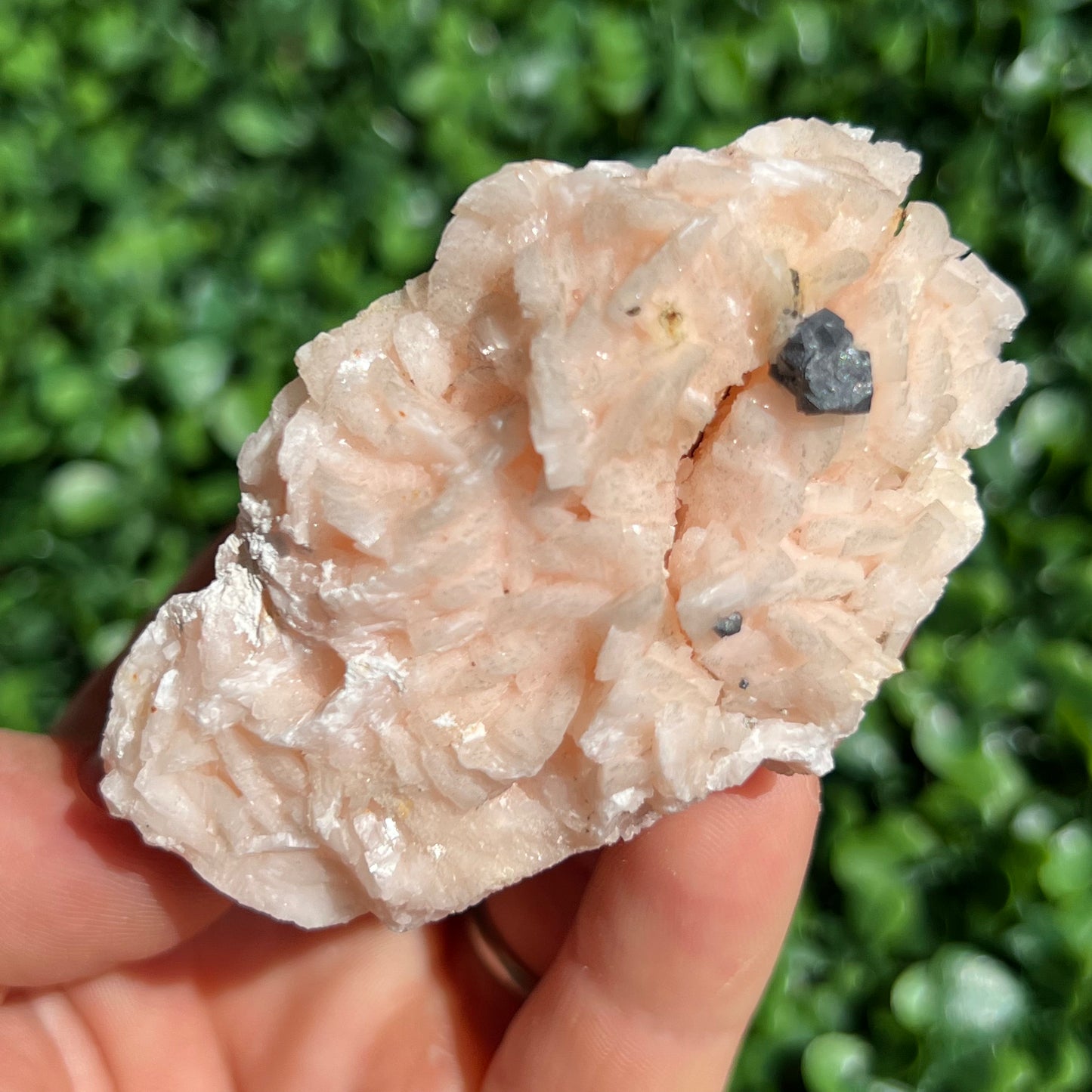 Pink Dolomite Specimen