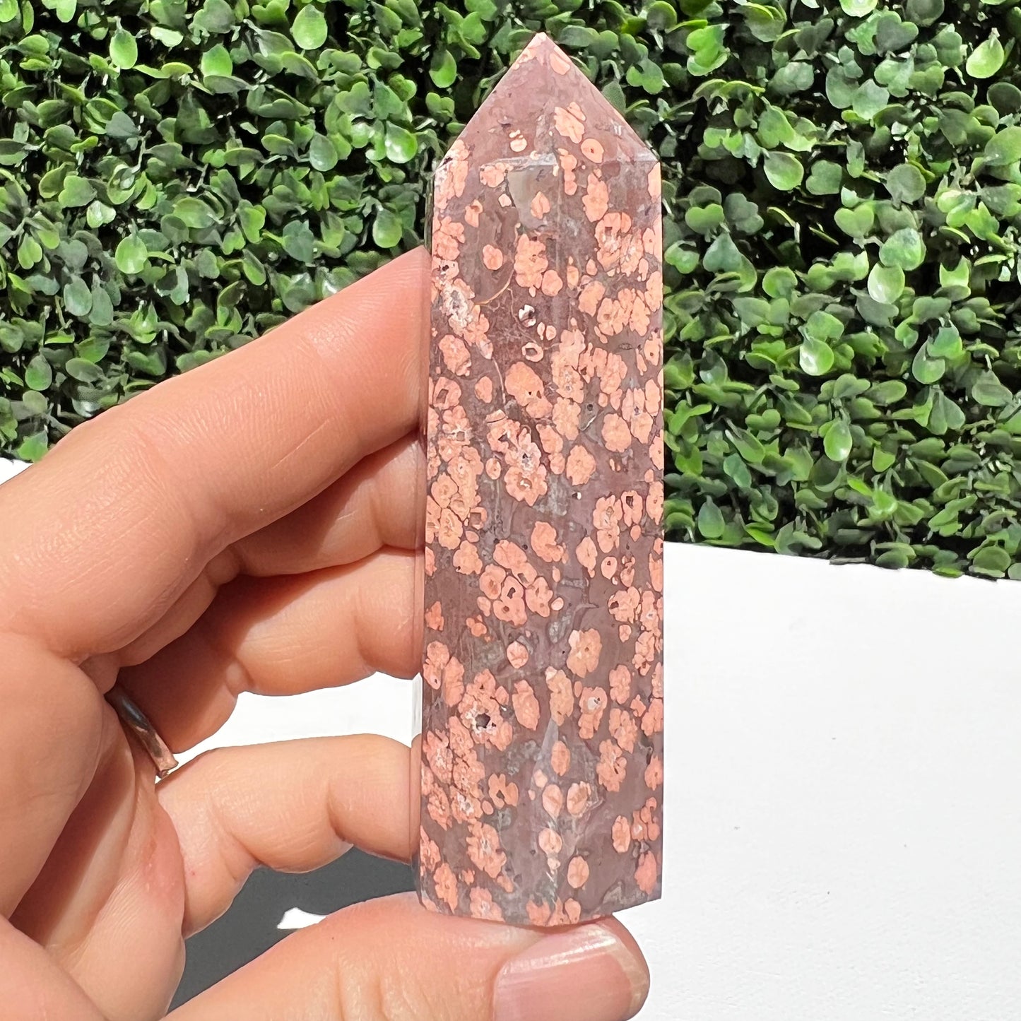 Leopard Skin Point