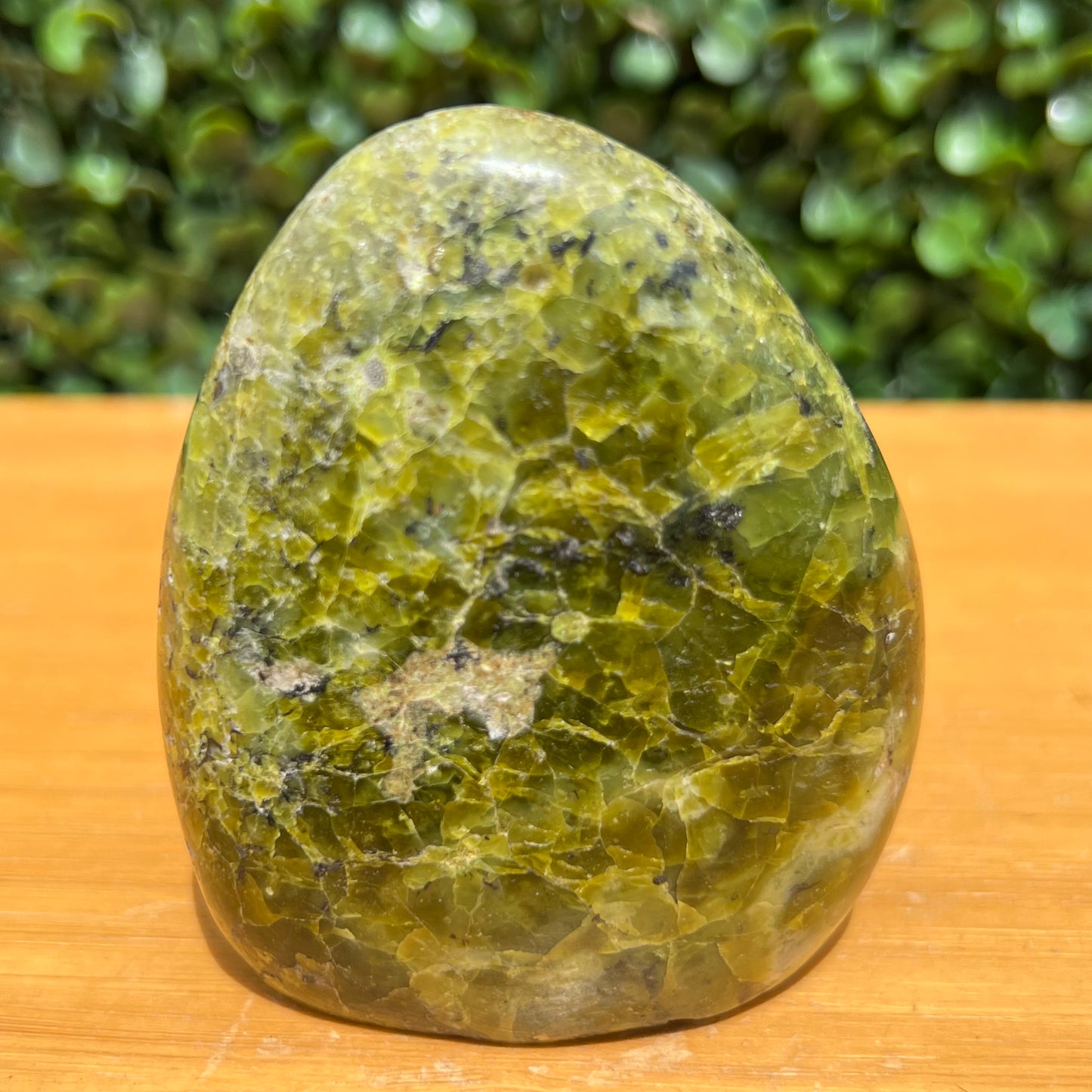 Kiwi Opal Free Form