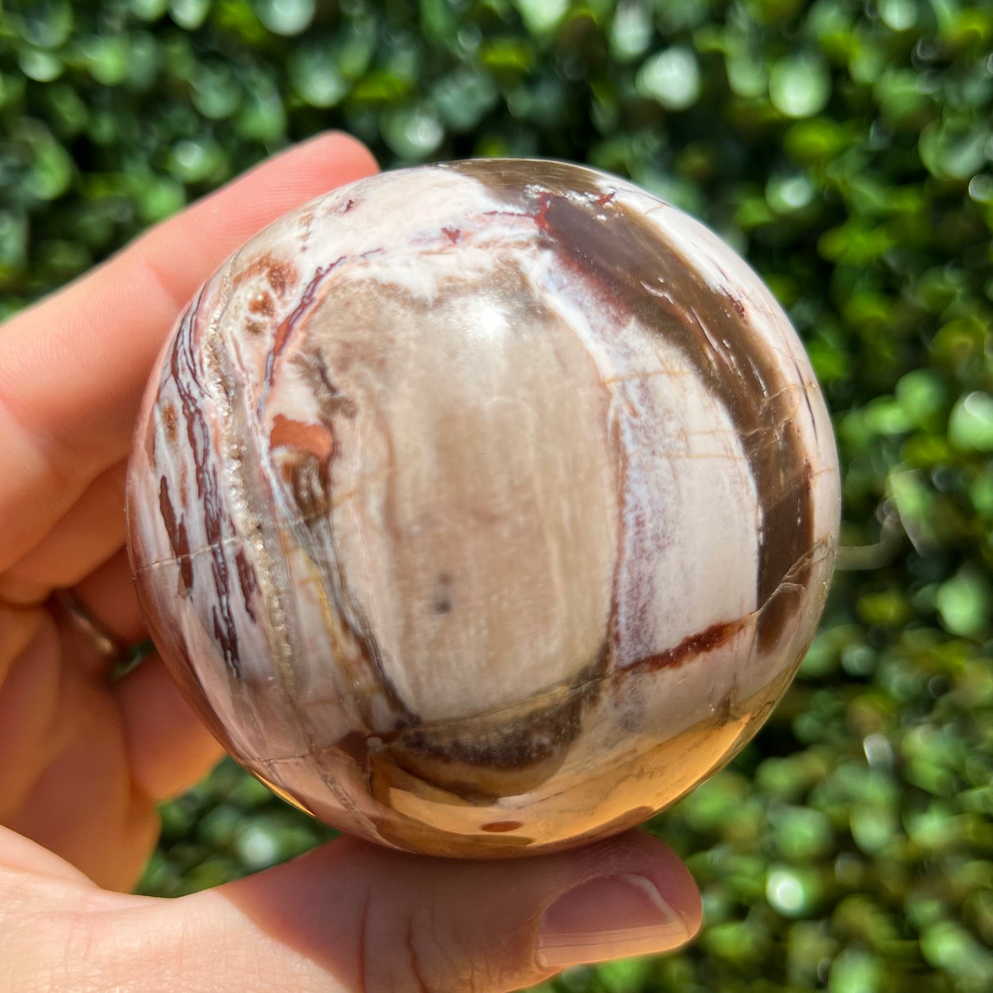 Petrified Wood Sphere