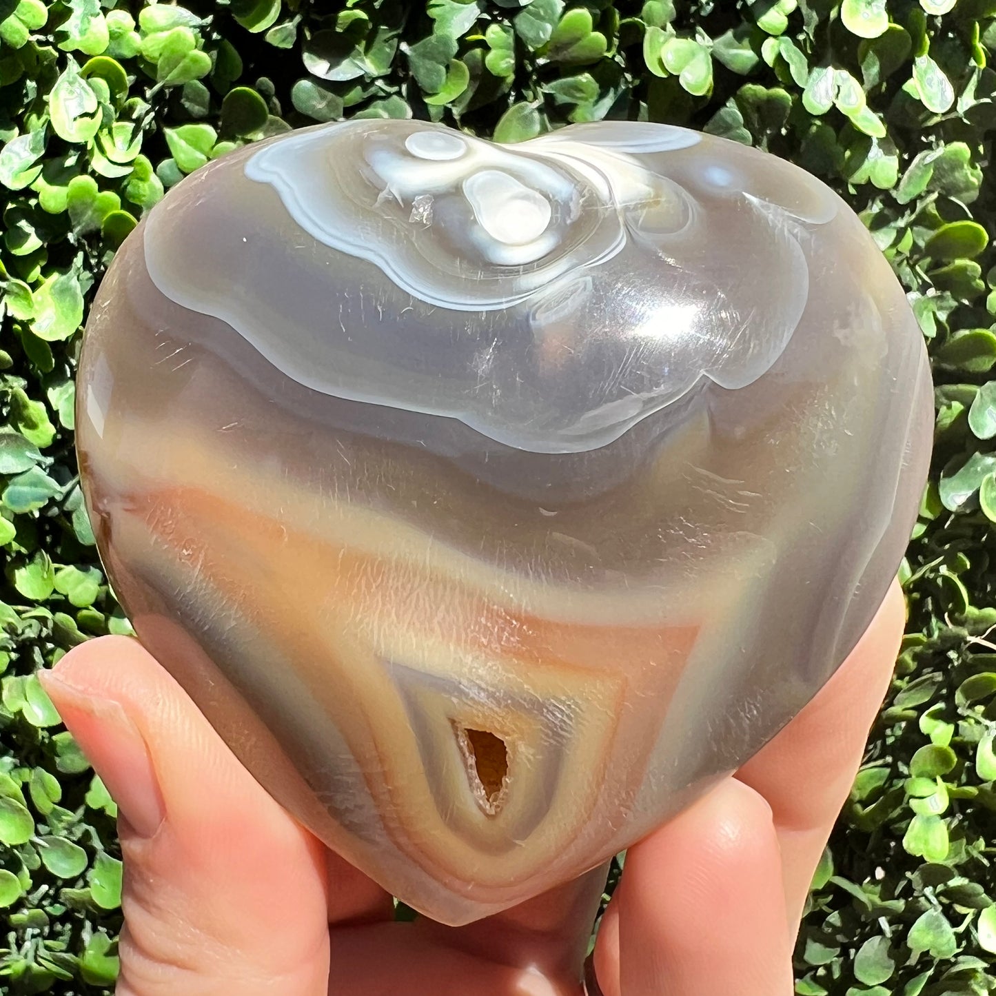 Orca Agate Heart