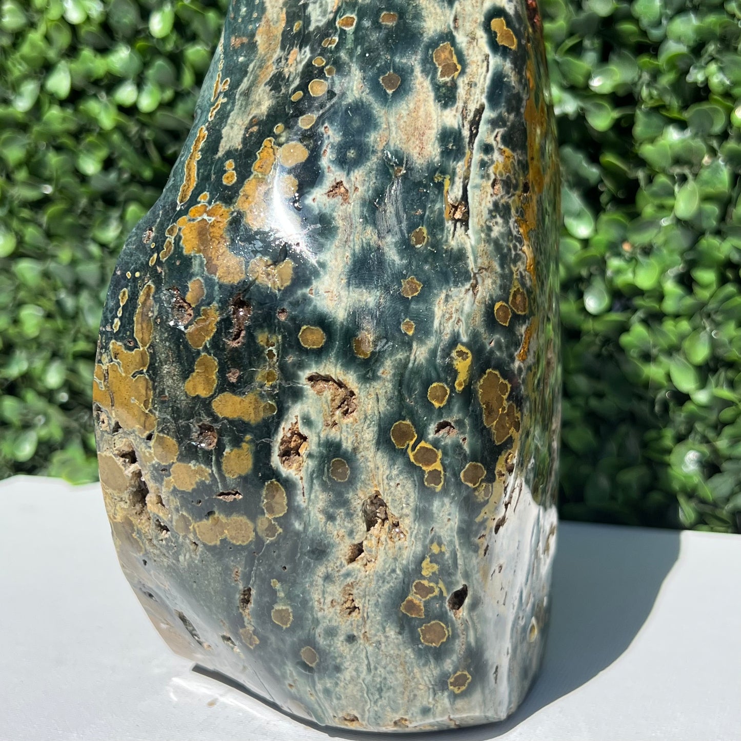 Ocean Jasper Free Form
