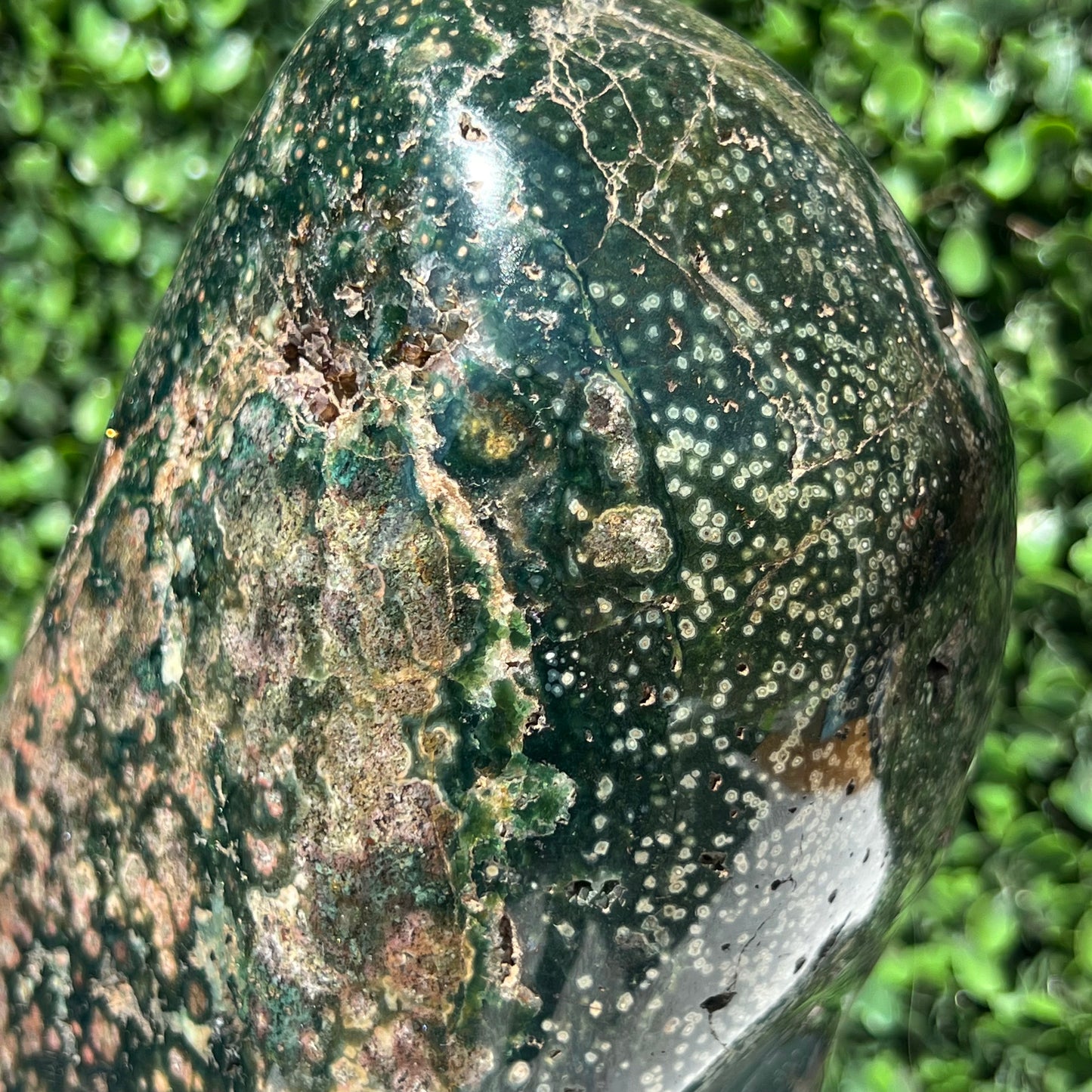 Ocean Jasper Free Form