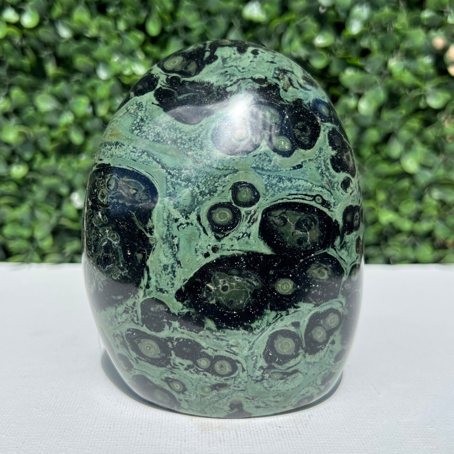 Kambaba Jasper Free Form