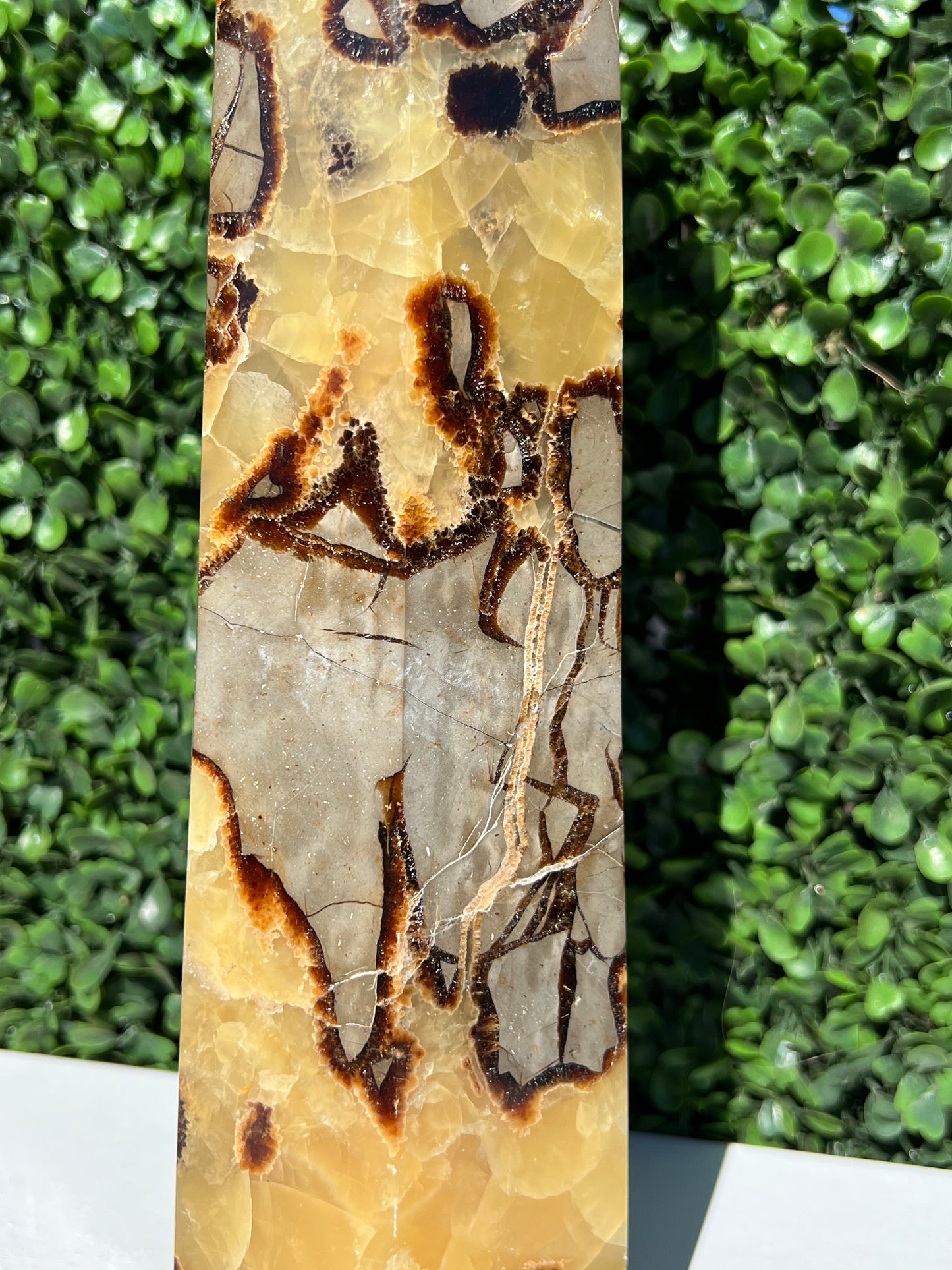 Septarian Generator XXL
