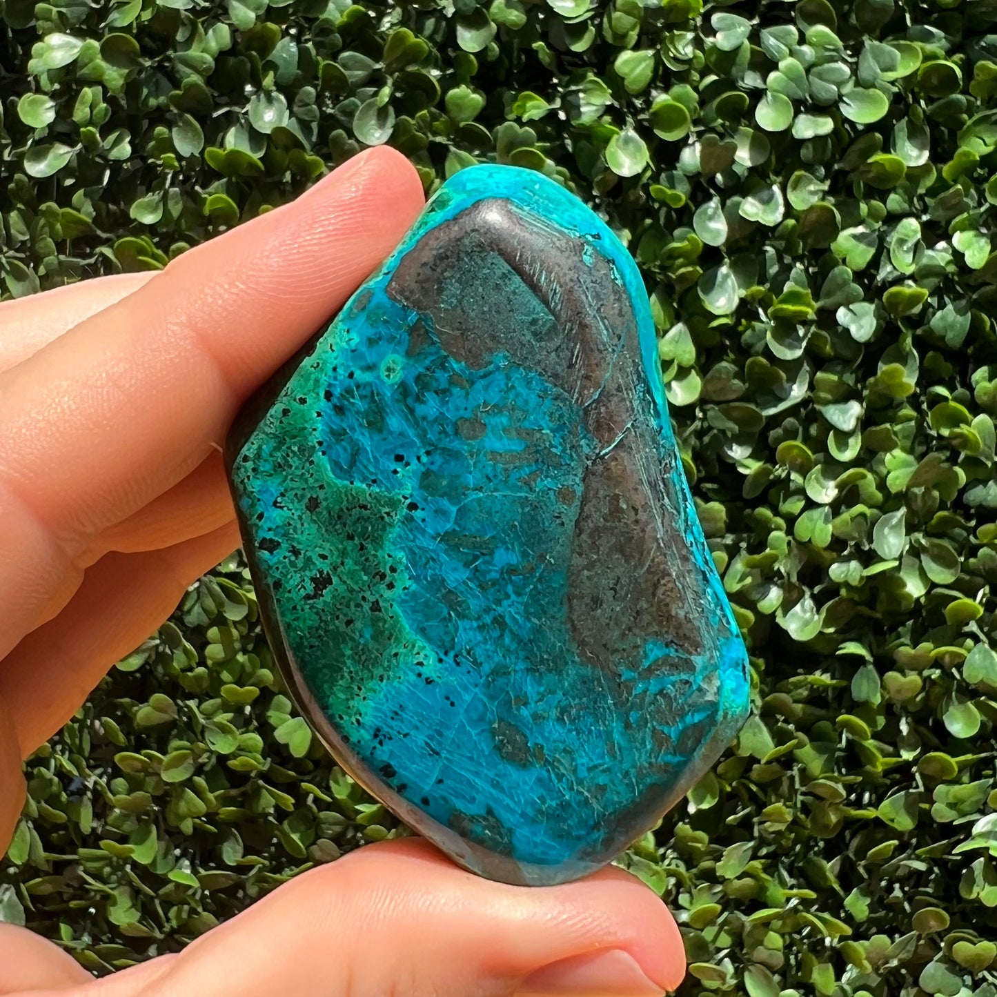 Shattuckite Free Form