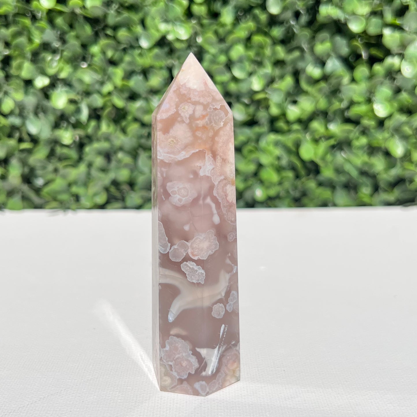 Flower Agate Point