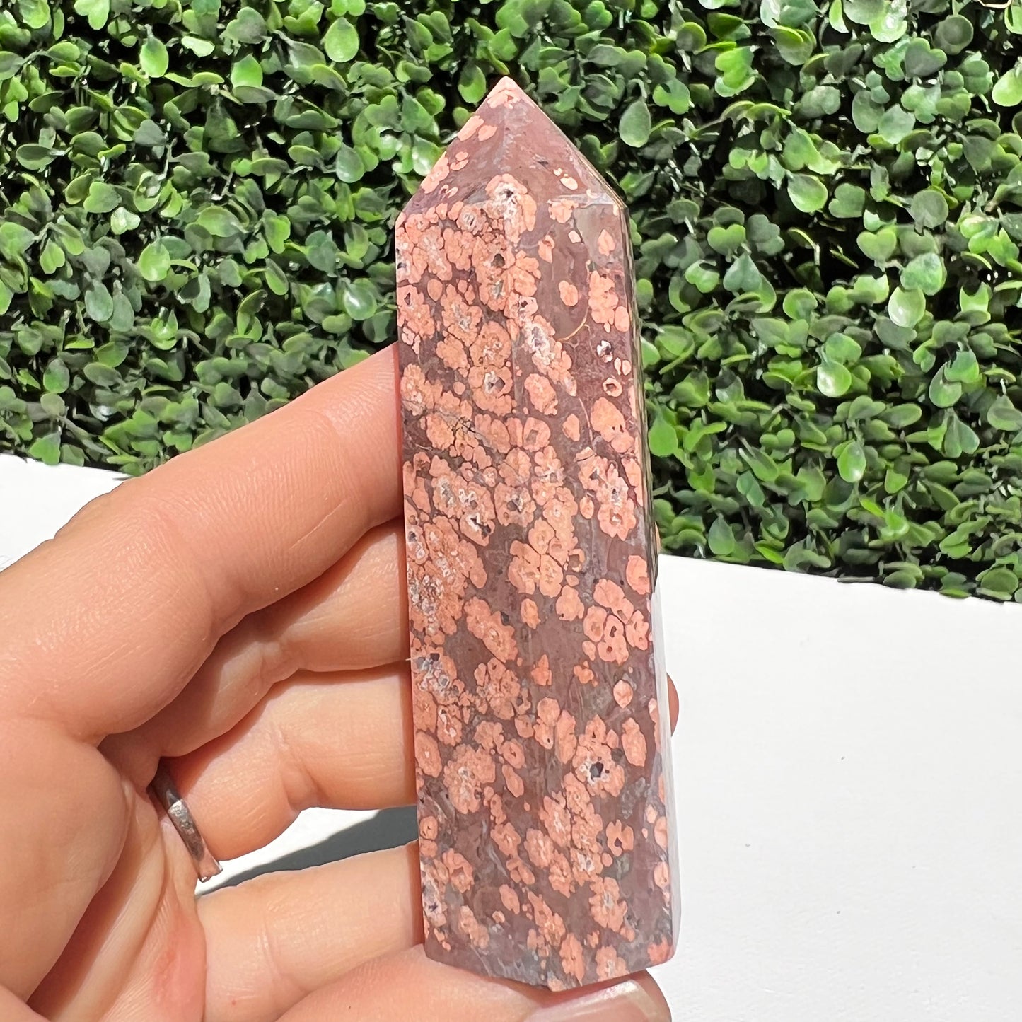 Leopard Skin Point