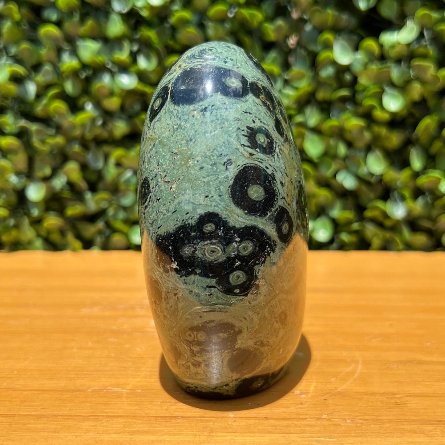 Kambaba Jasper Free Form