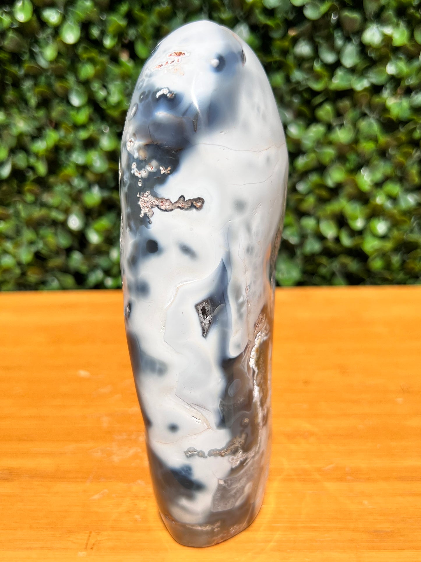 Orca Agate Free Form