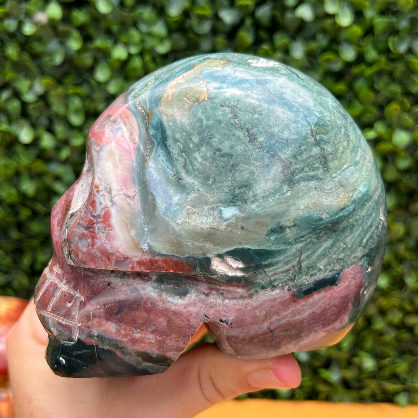 Ocean Jasper Skull