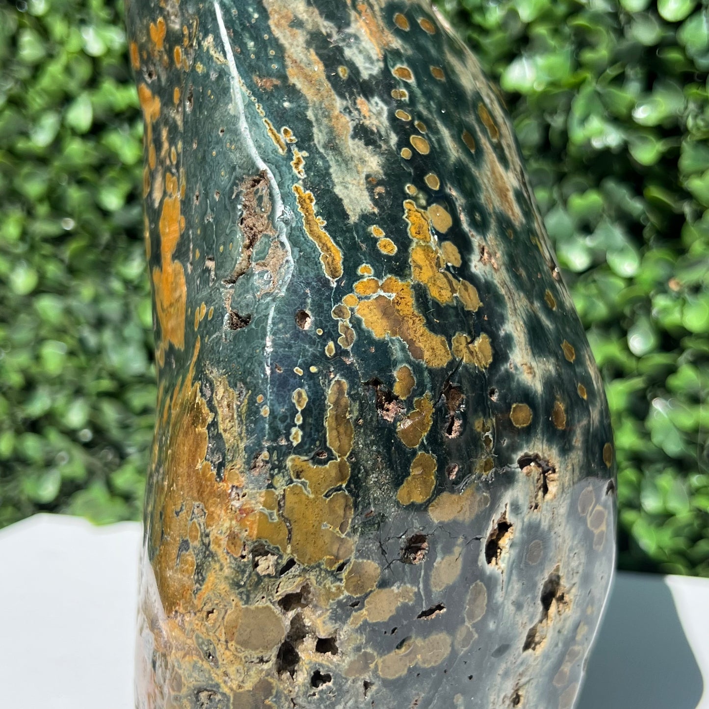 Ocean Jasper Free Form