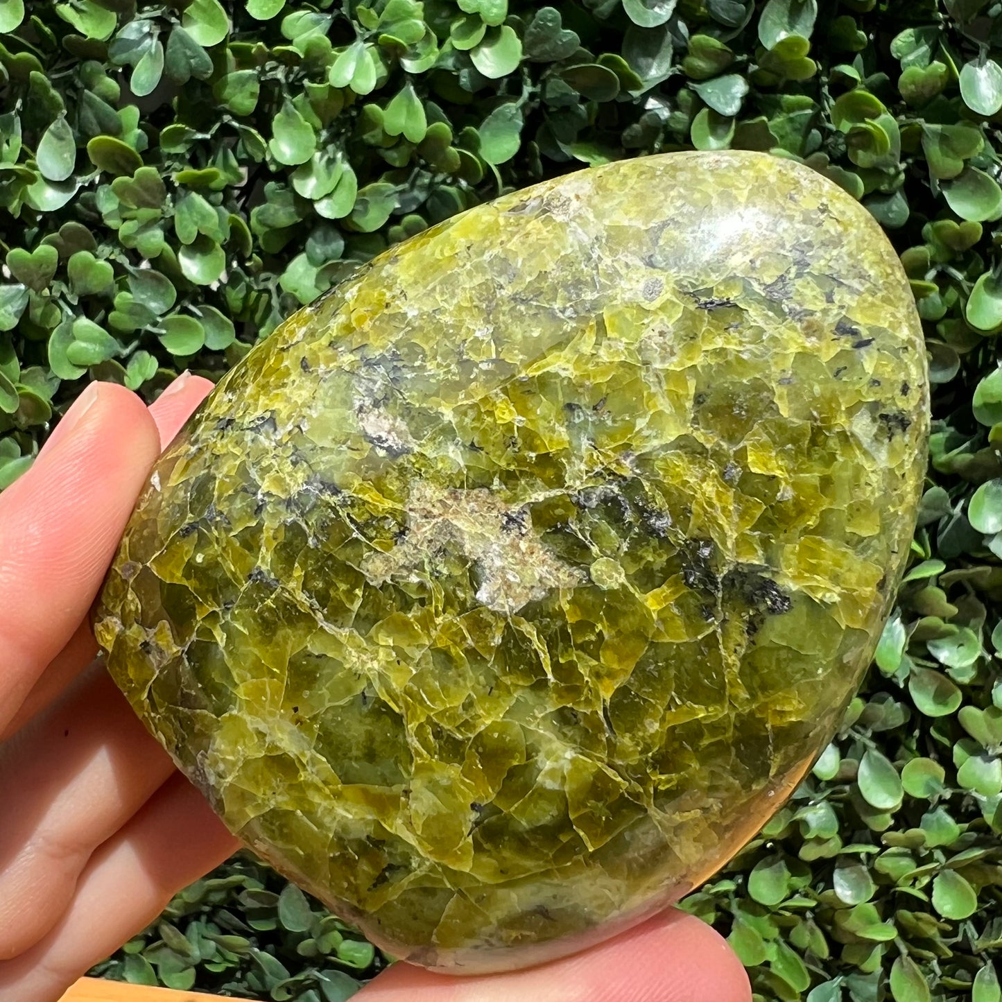Kiwi Opal Free Form