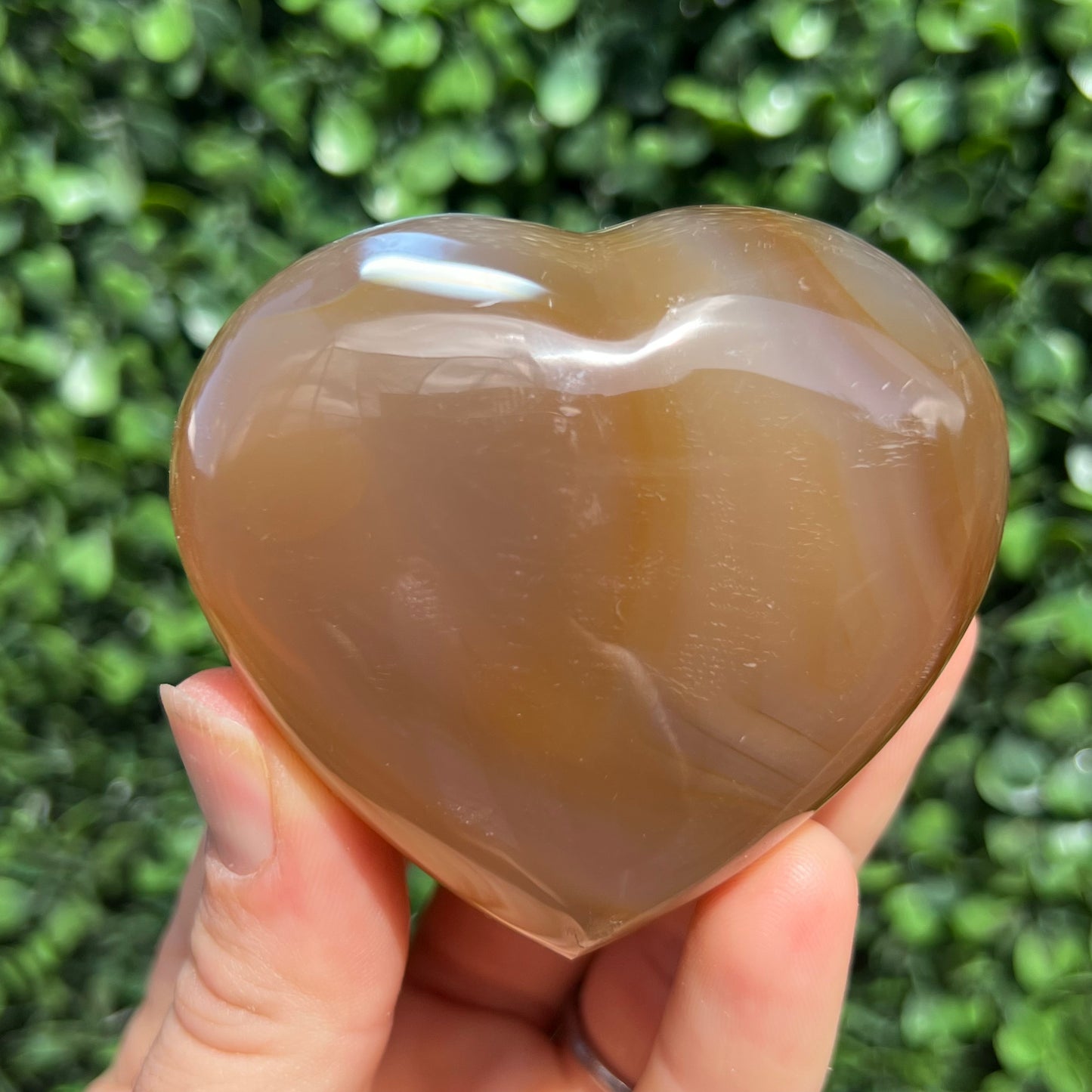 Orca Agate Heart