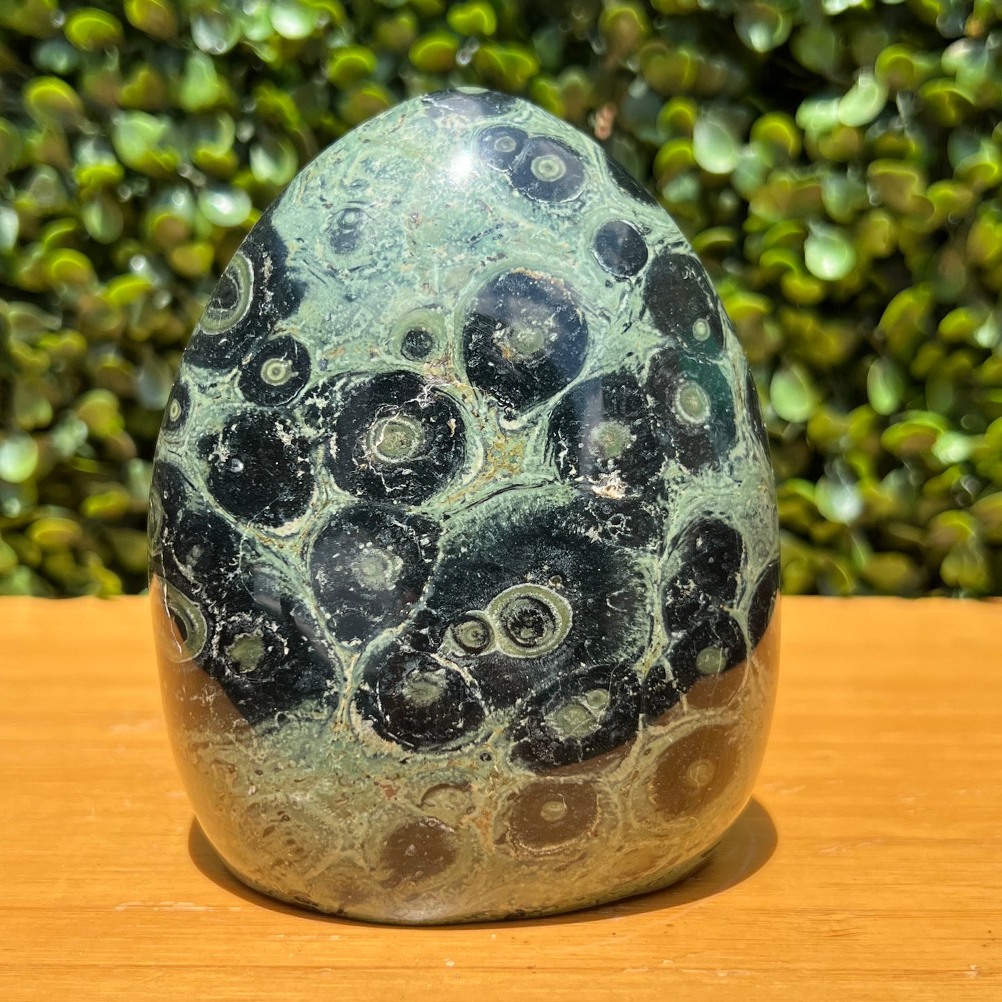 Kambaba Jasper Free Form