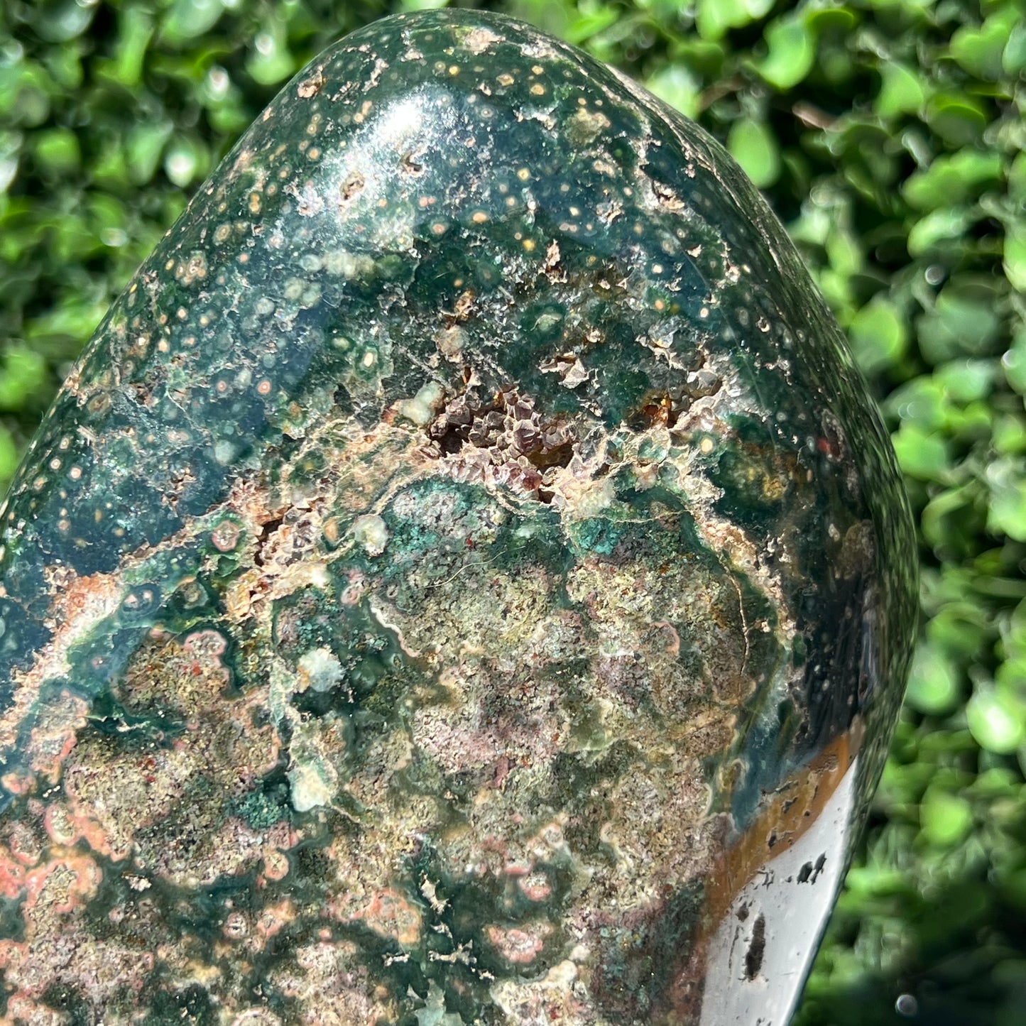 Ocean Jasper Free Form