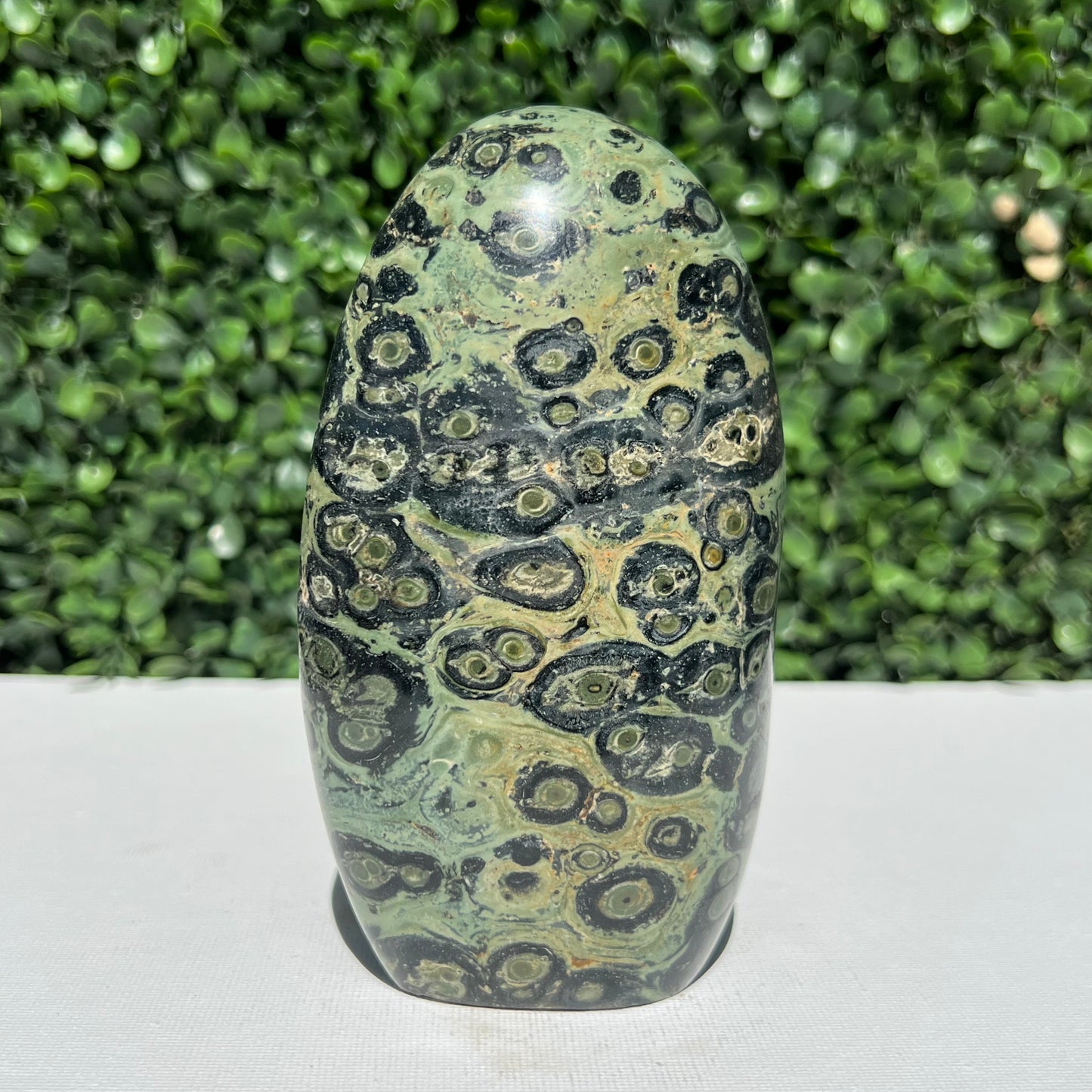 Kambaba Jasper Free Form