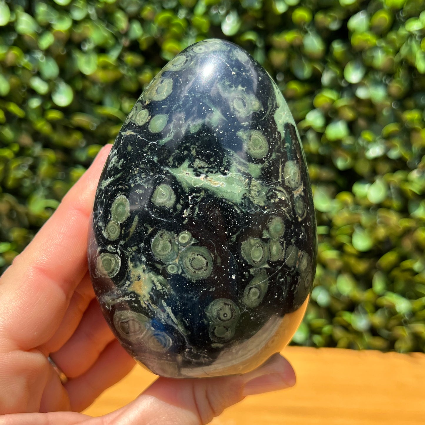 Kambaba Jasper Free Form