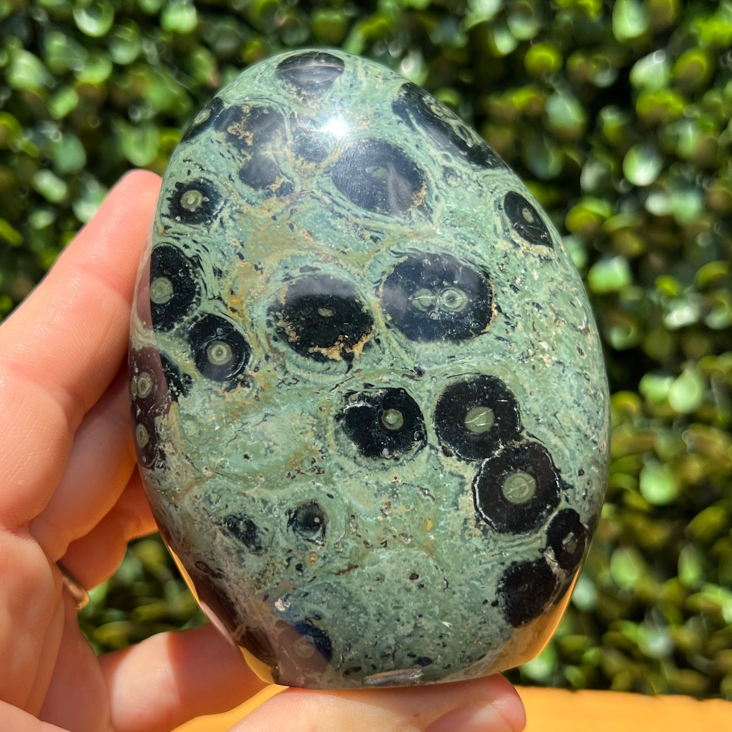 Kambaba Jasper Free Form