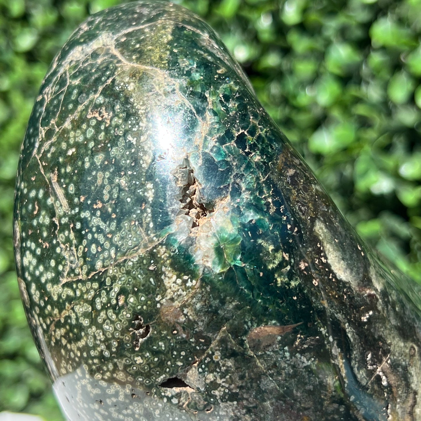 Ocean Jasper Free Form