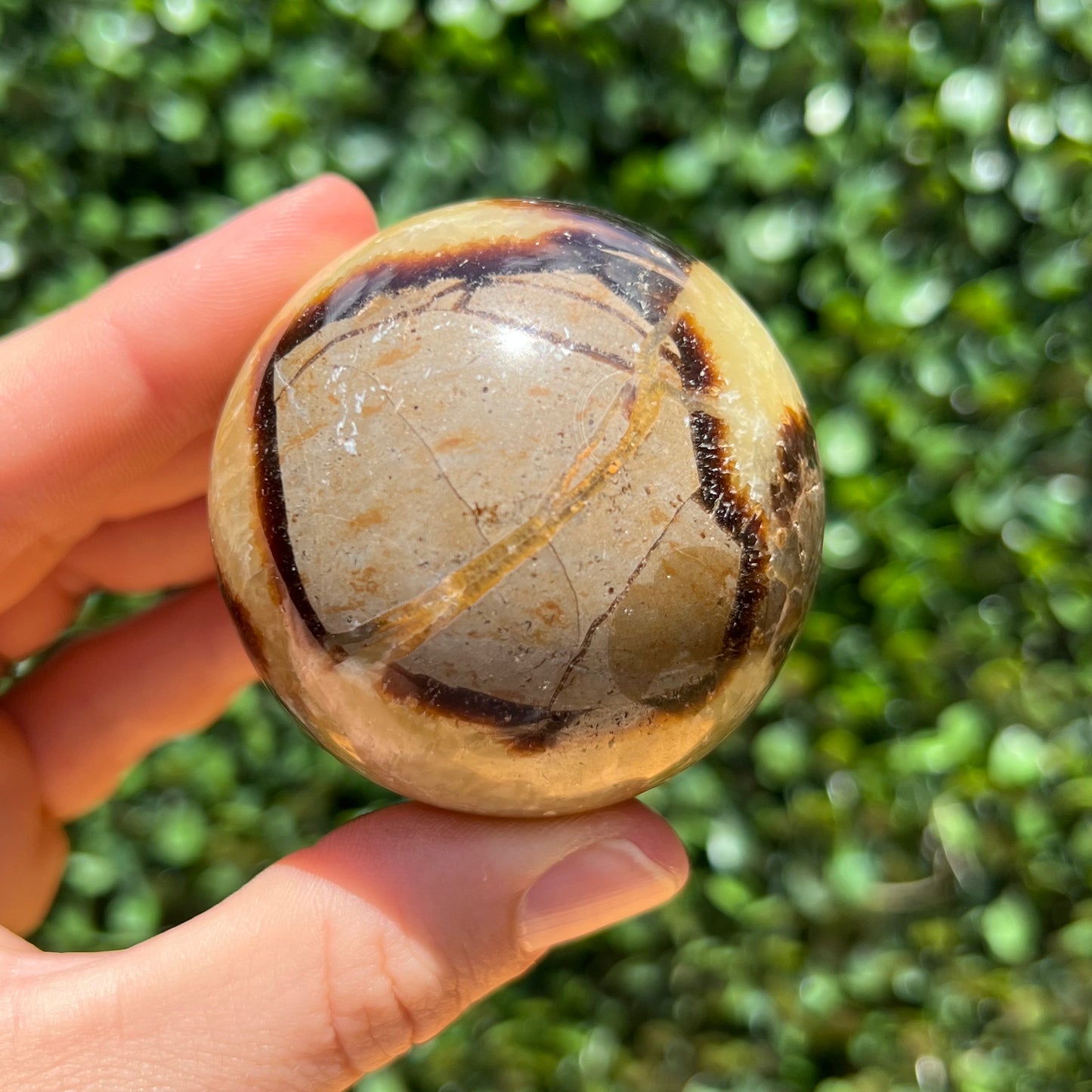 Septarian Yellow Calcite Sphere