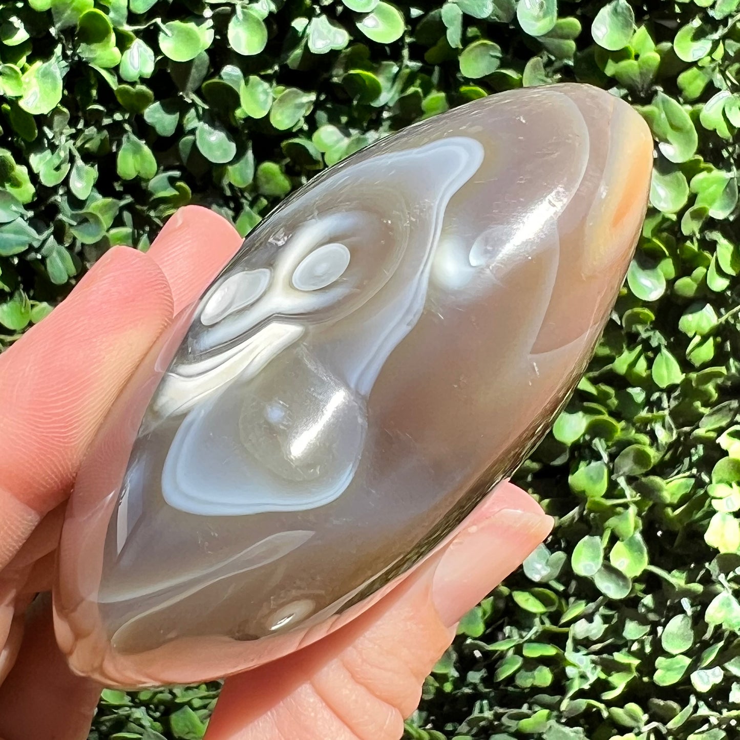 Orca Agate Heart