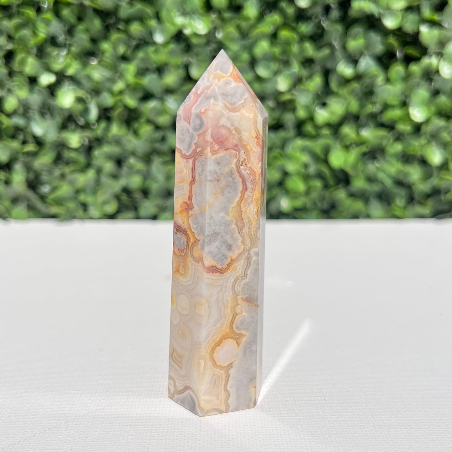Crazy Lace Agate Point