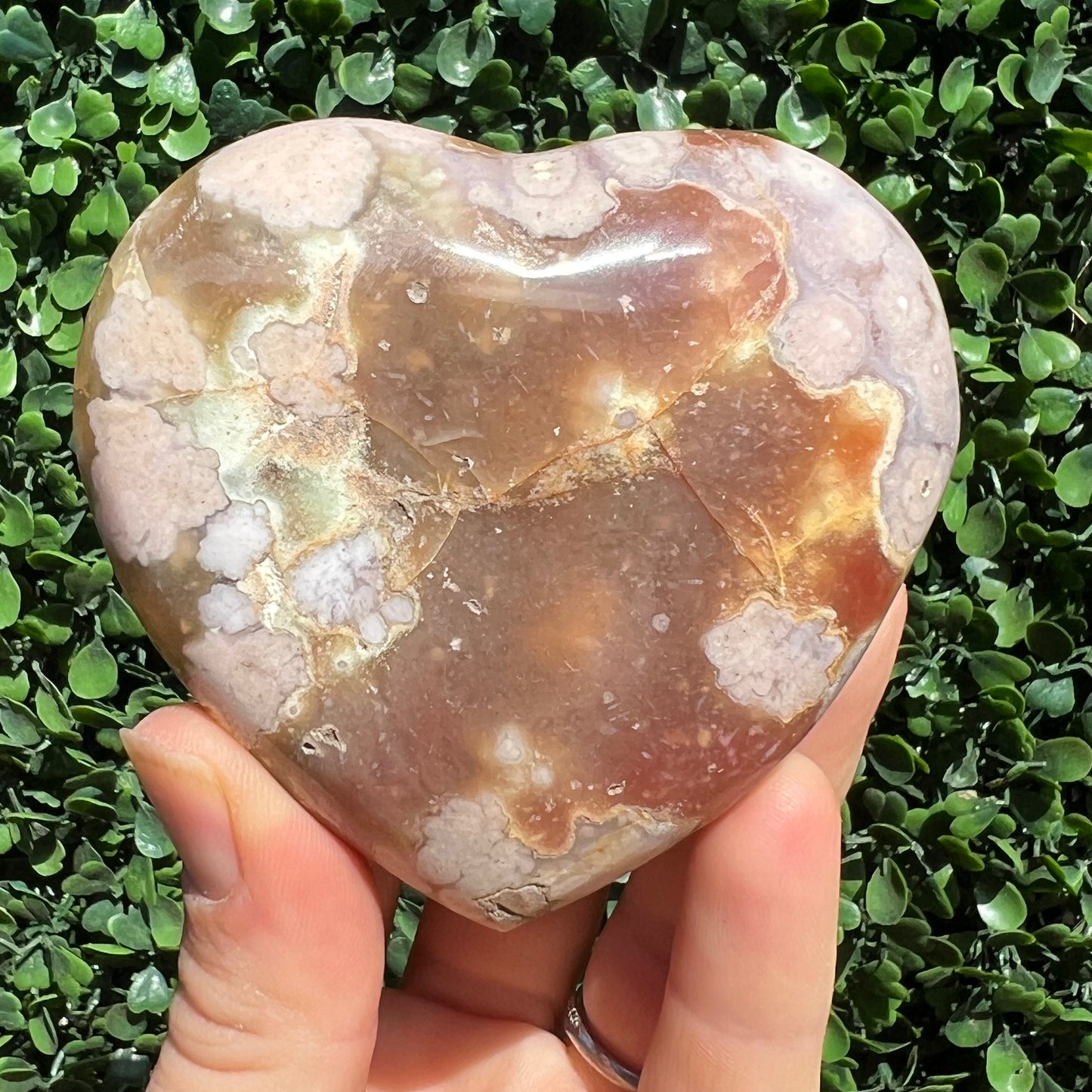 Flower Agate Heart