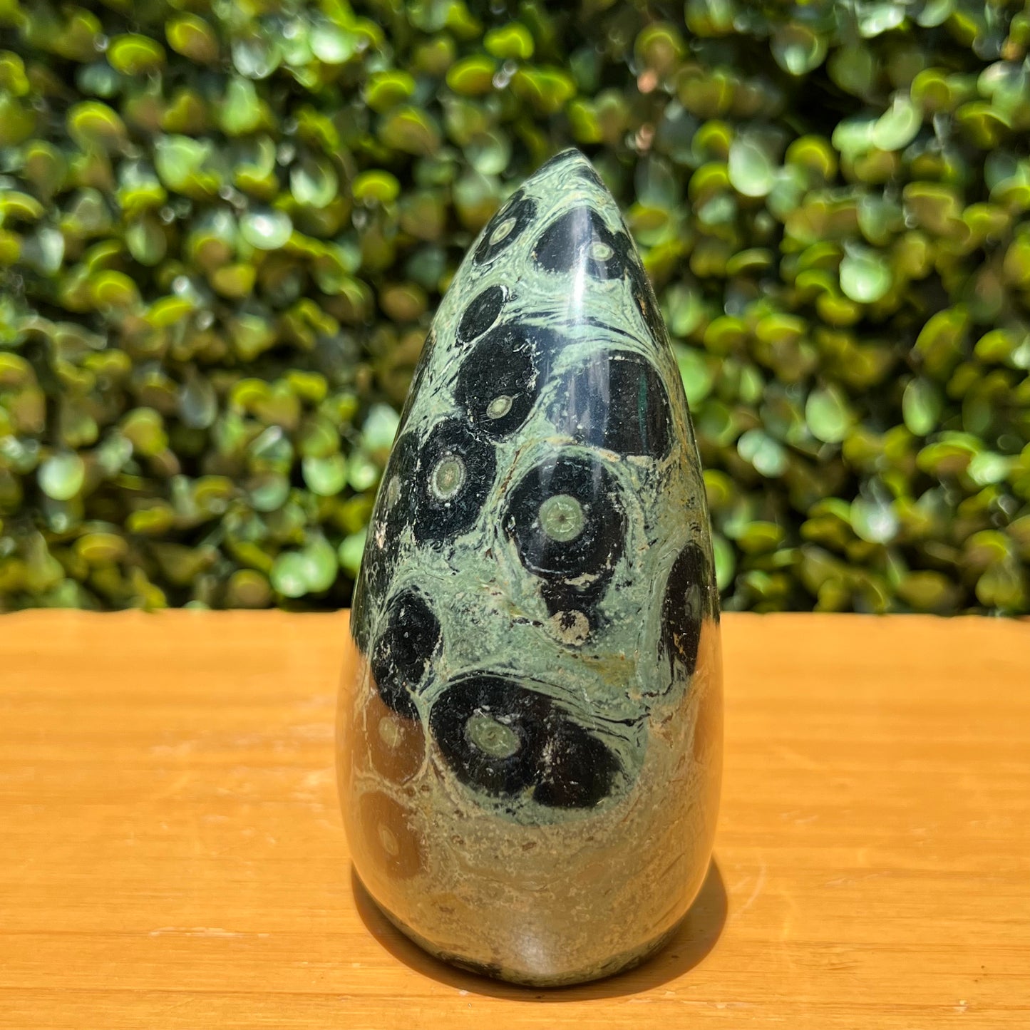 Kambaba Jasper Free Form