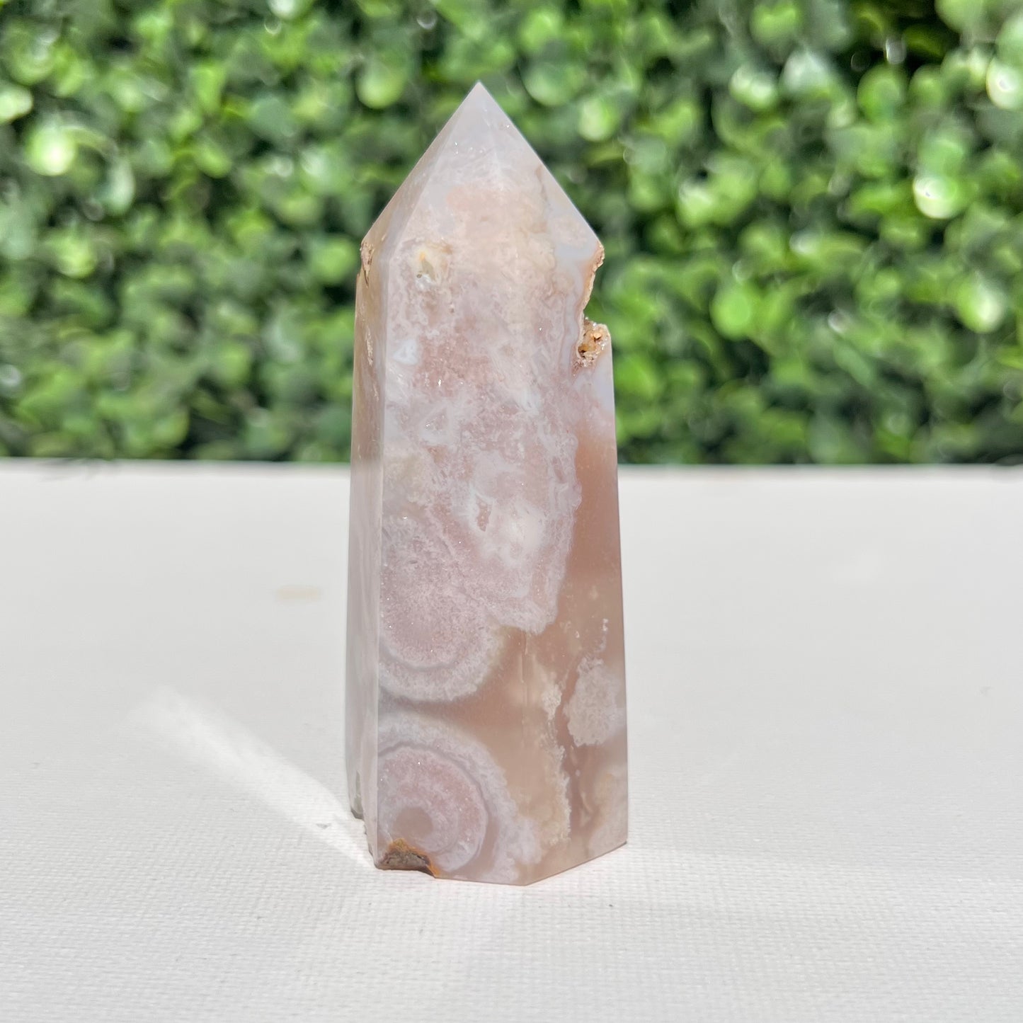 Flower Agate Point