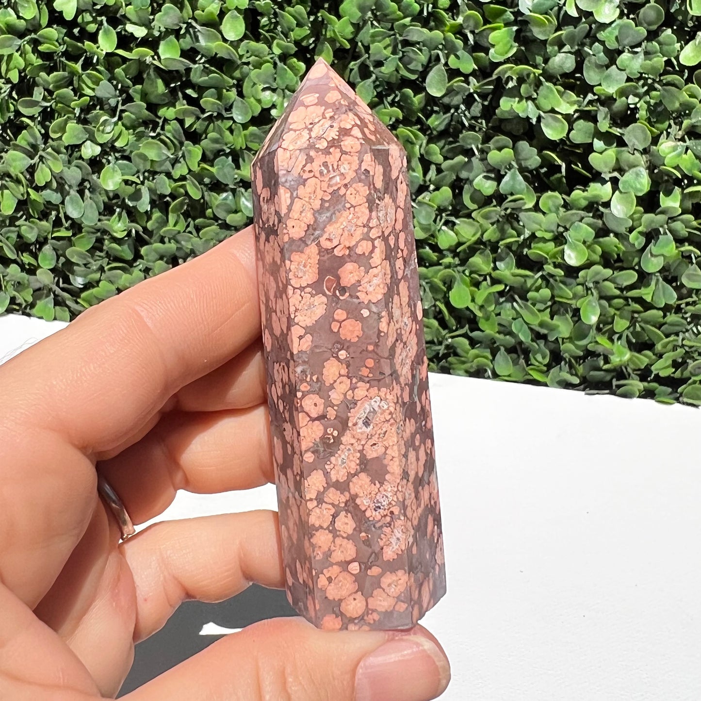 Leopard Skin Point