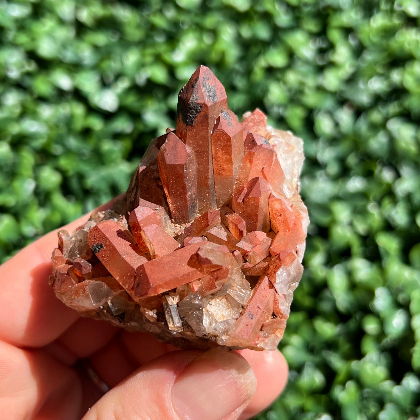 Red Quartz Cluster
