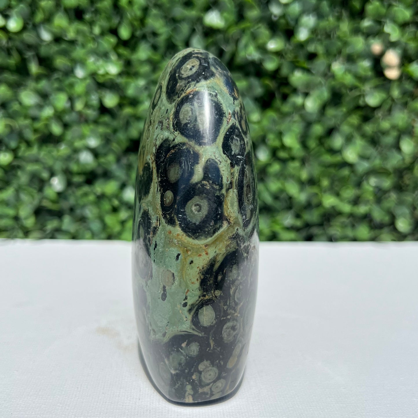 Kambaba Jasper Free Form