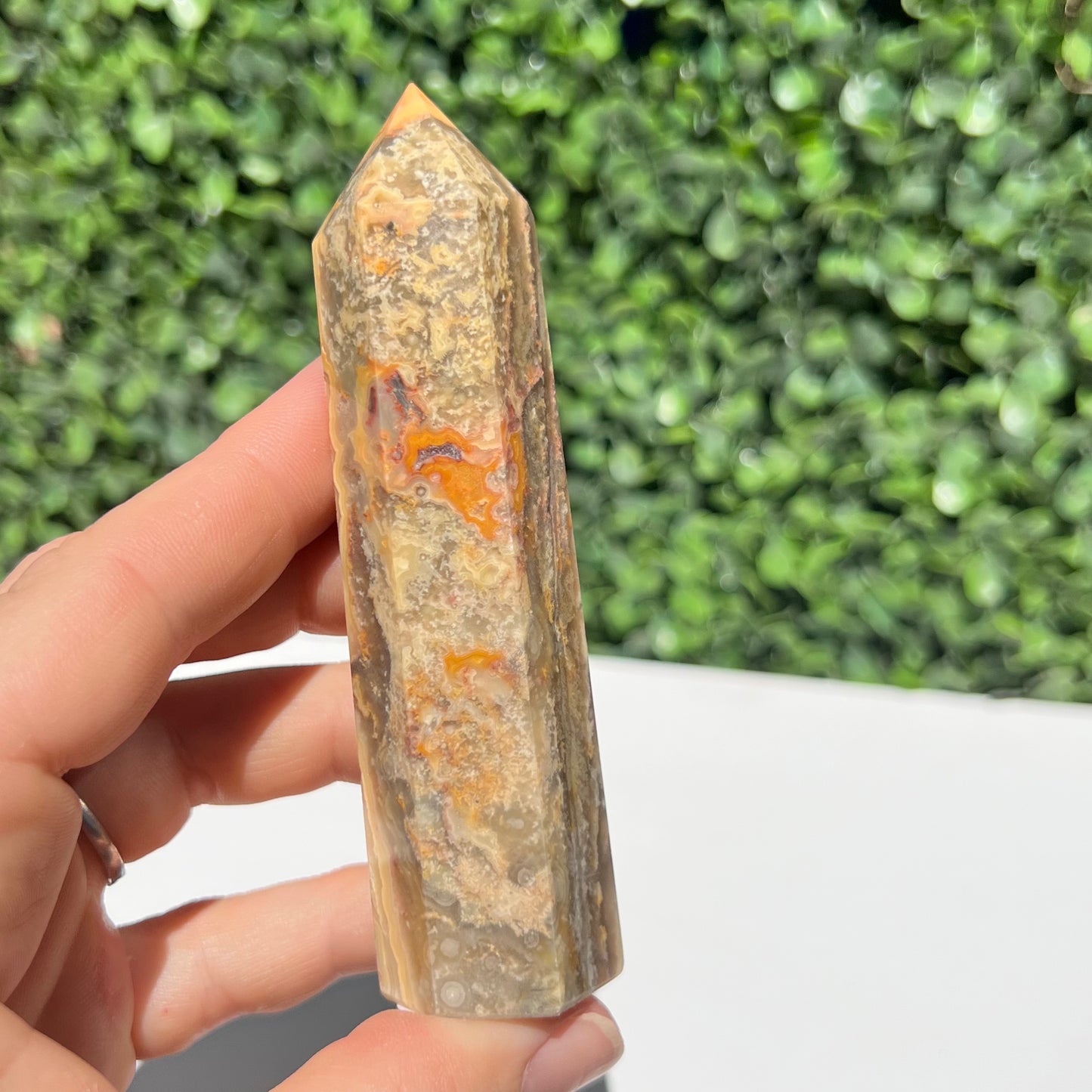 Crazy Lace Agate Point