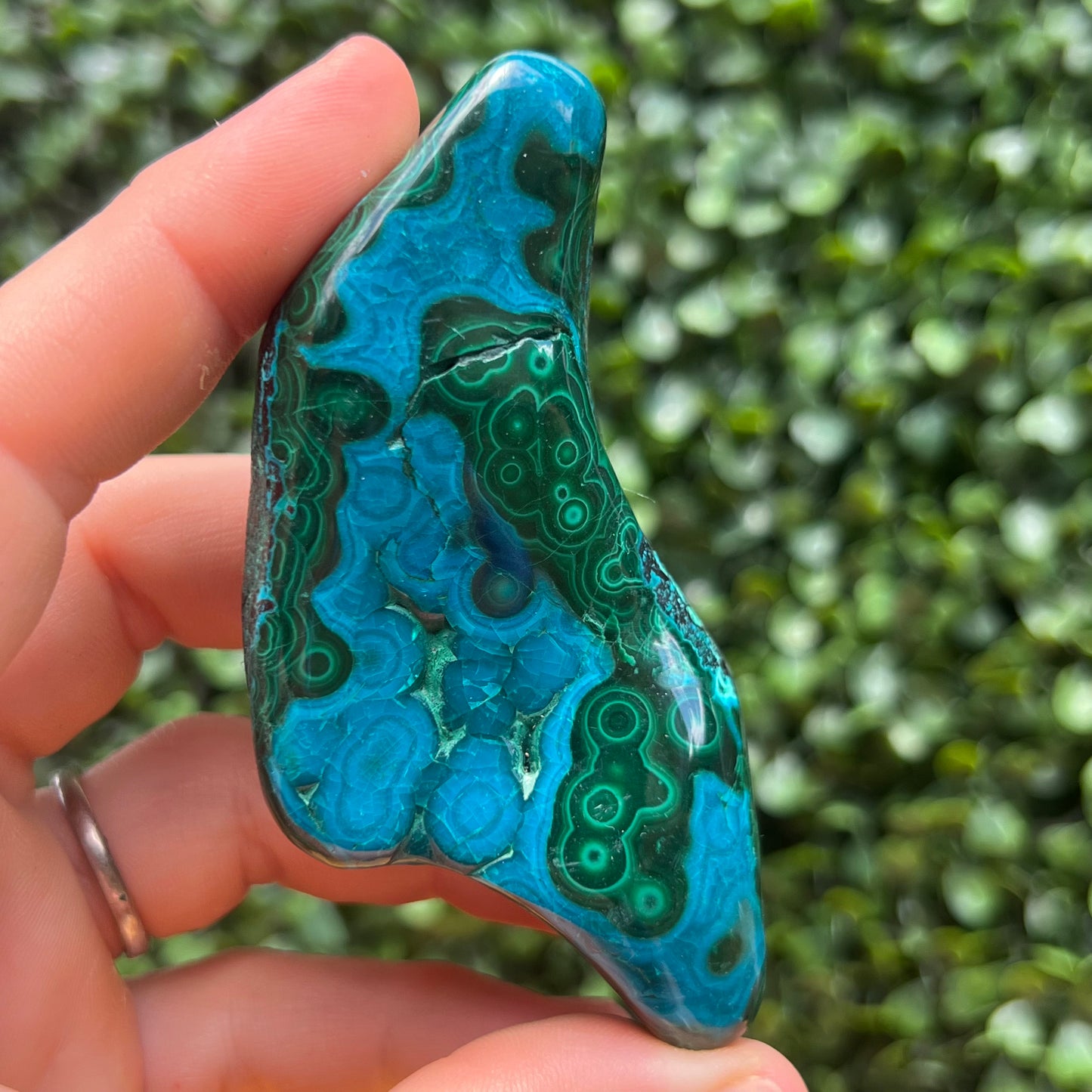 Chrysocolla Malachite Free Form