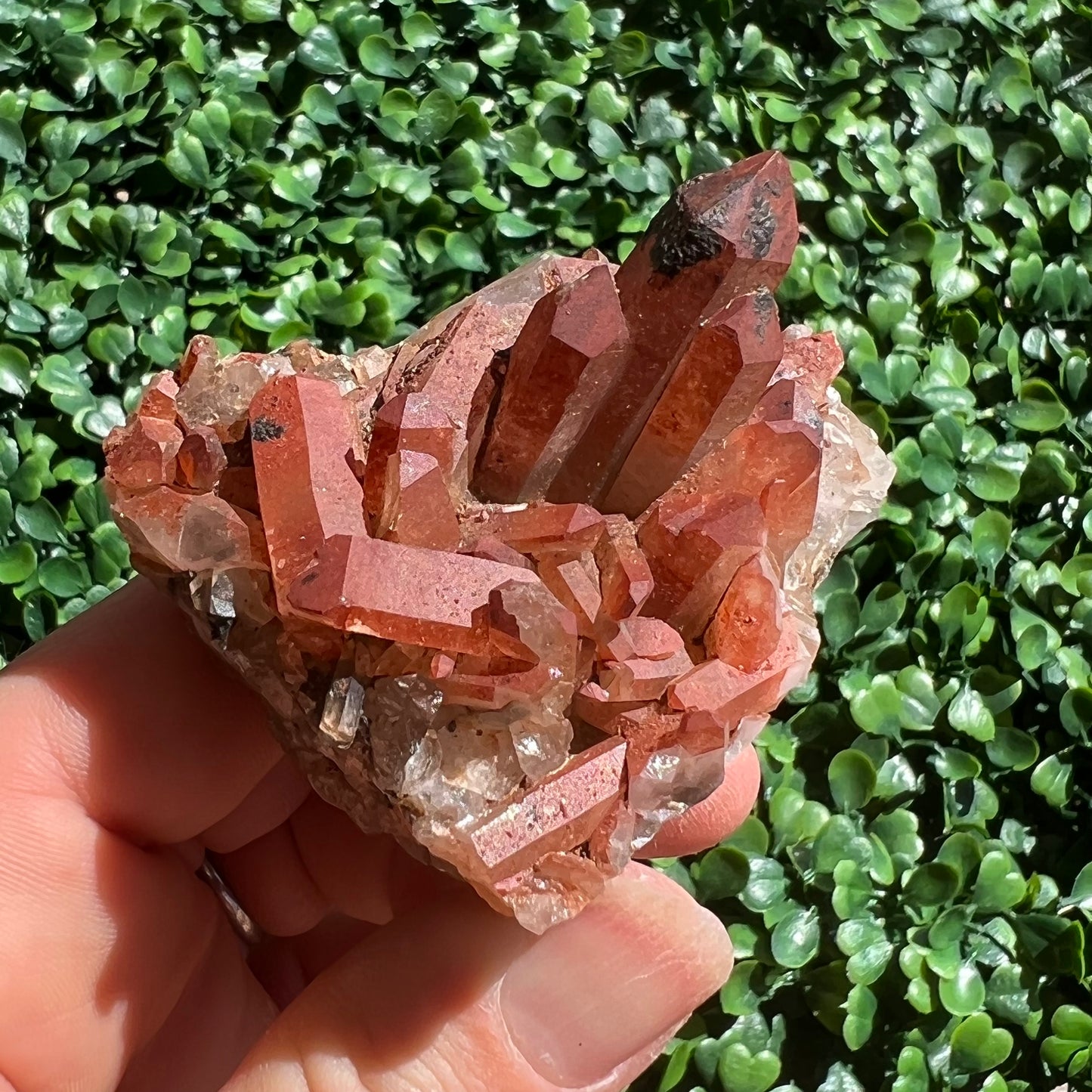 Red Quartz Cluster
