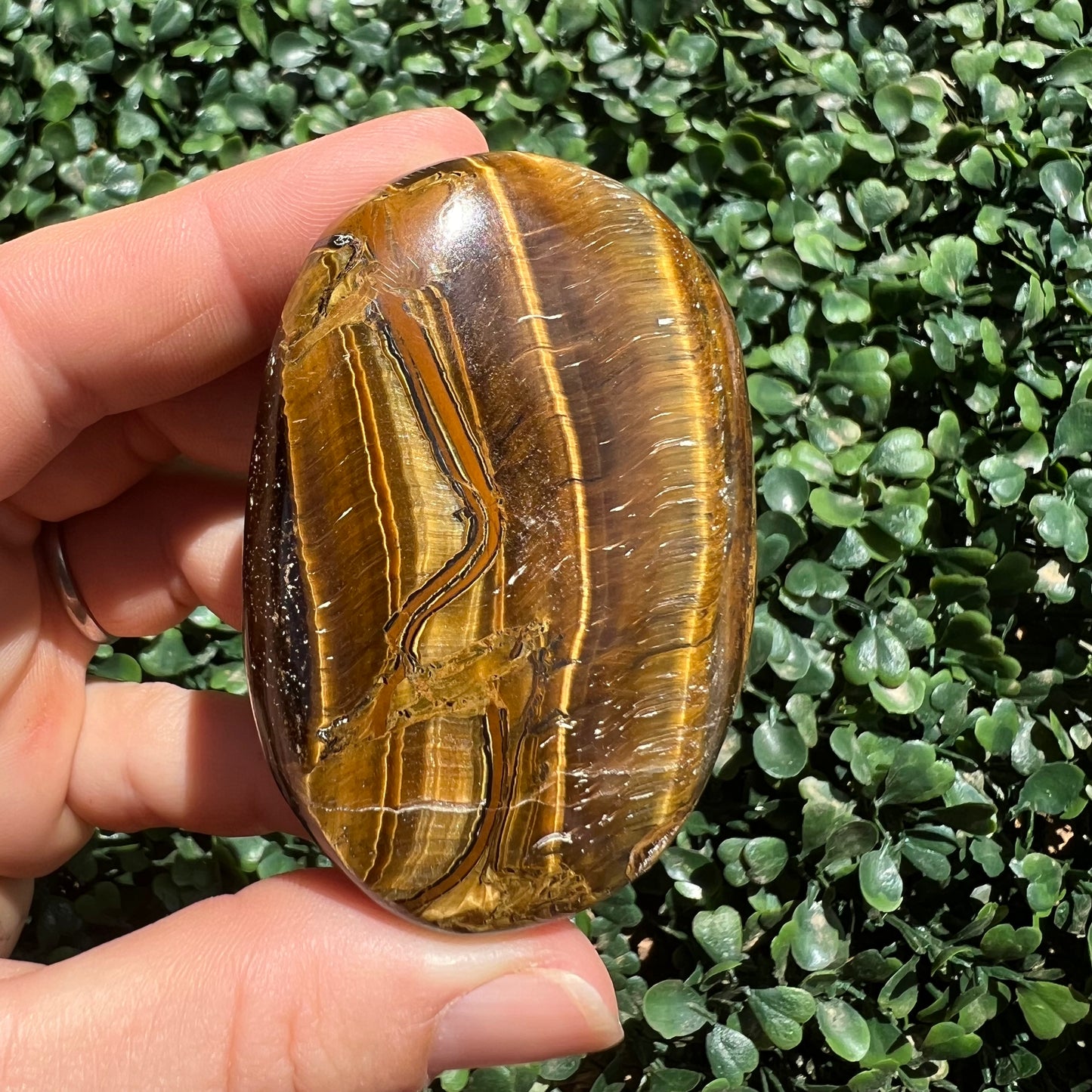 Tiger's Eye Palm Stone