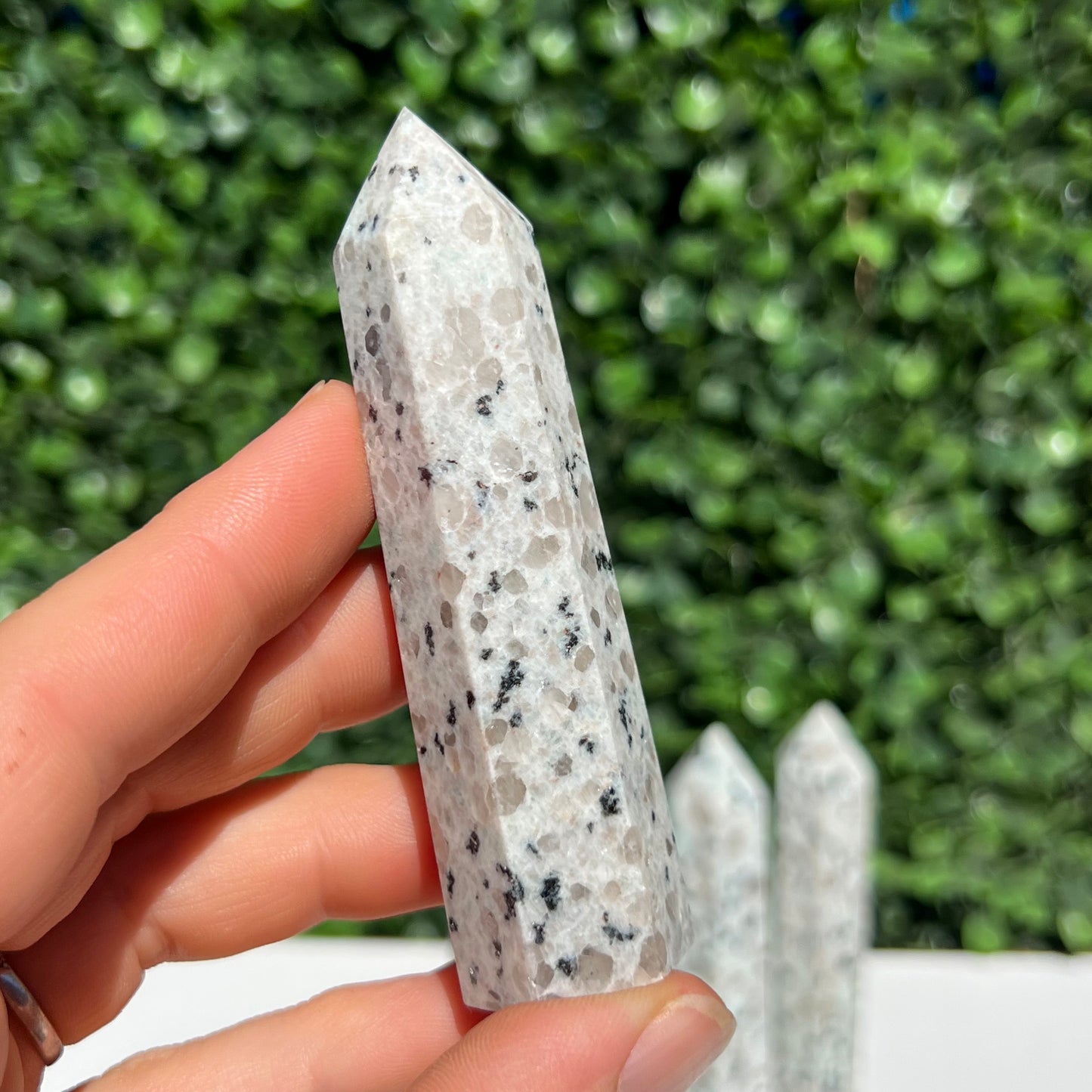 Kiwi Jasper Point’s