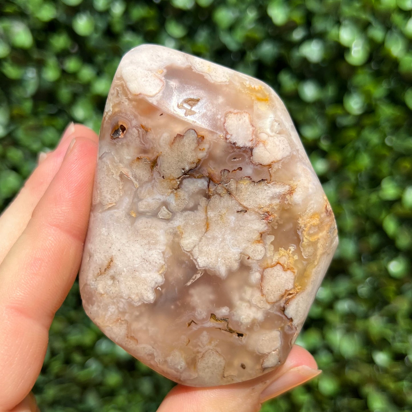 Flower Agate Flame