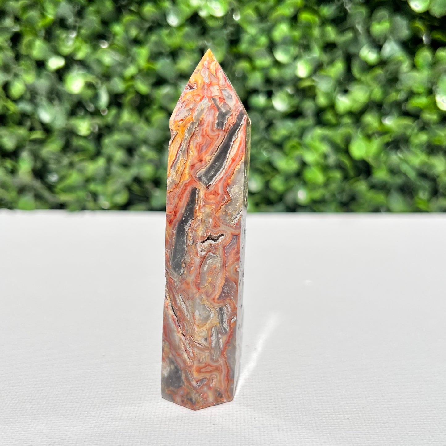 Crazy Lace Agate Point
