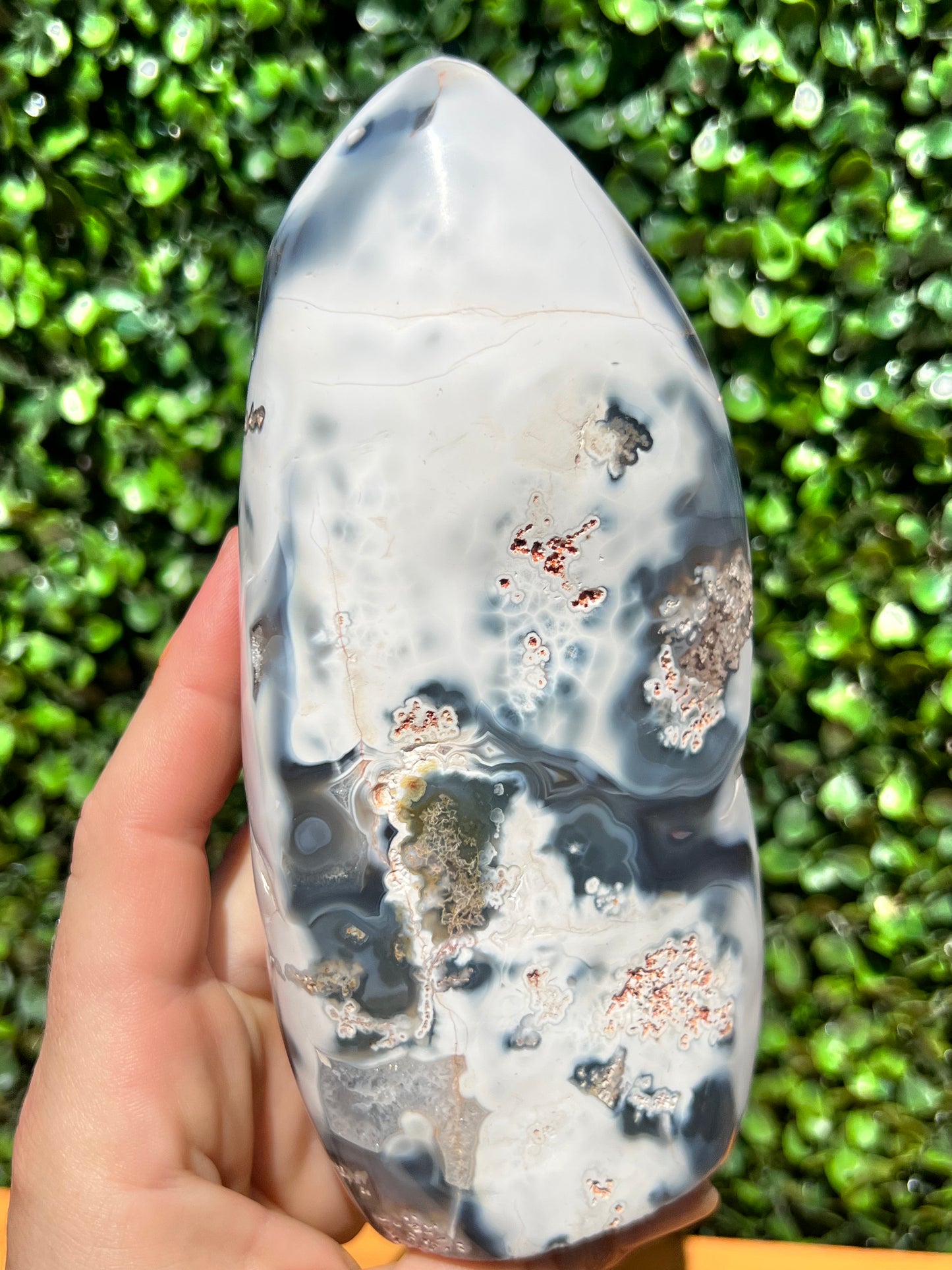 Orca Agate Free Form