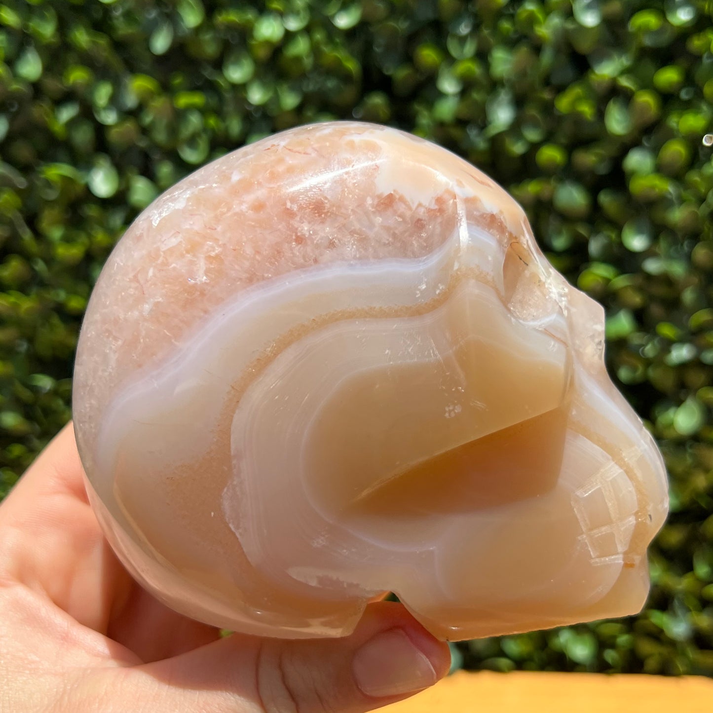 Flower Agate Quartz Skull