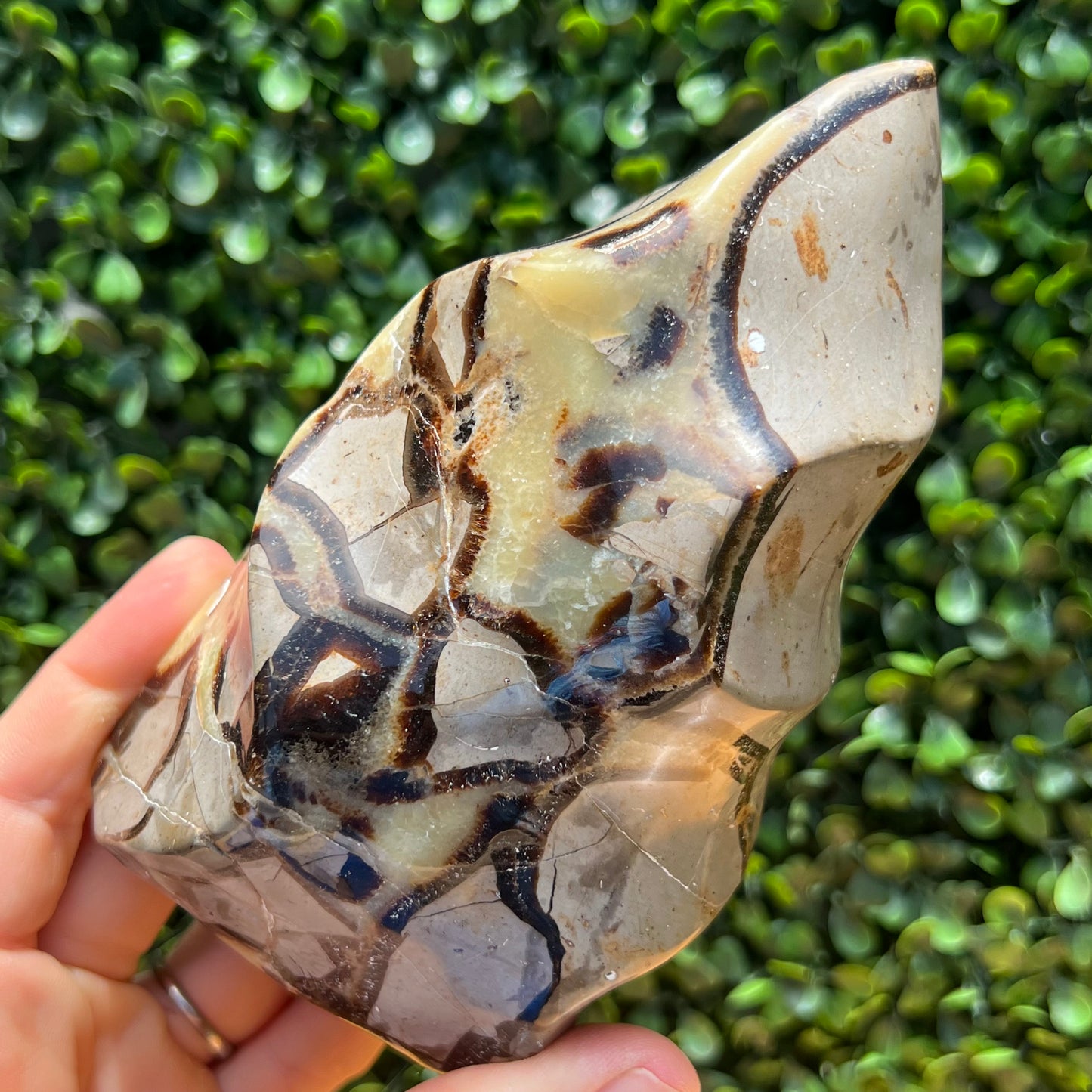 Septarian Yellow Calcite Flame