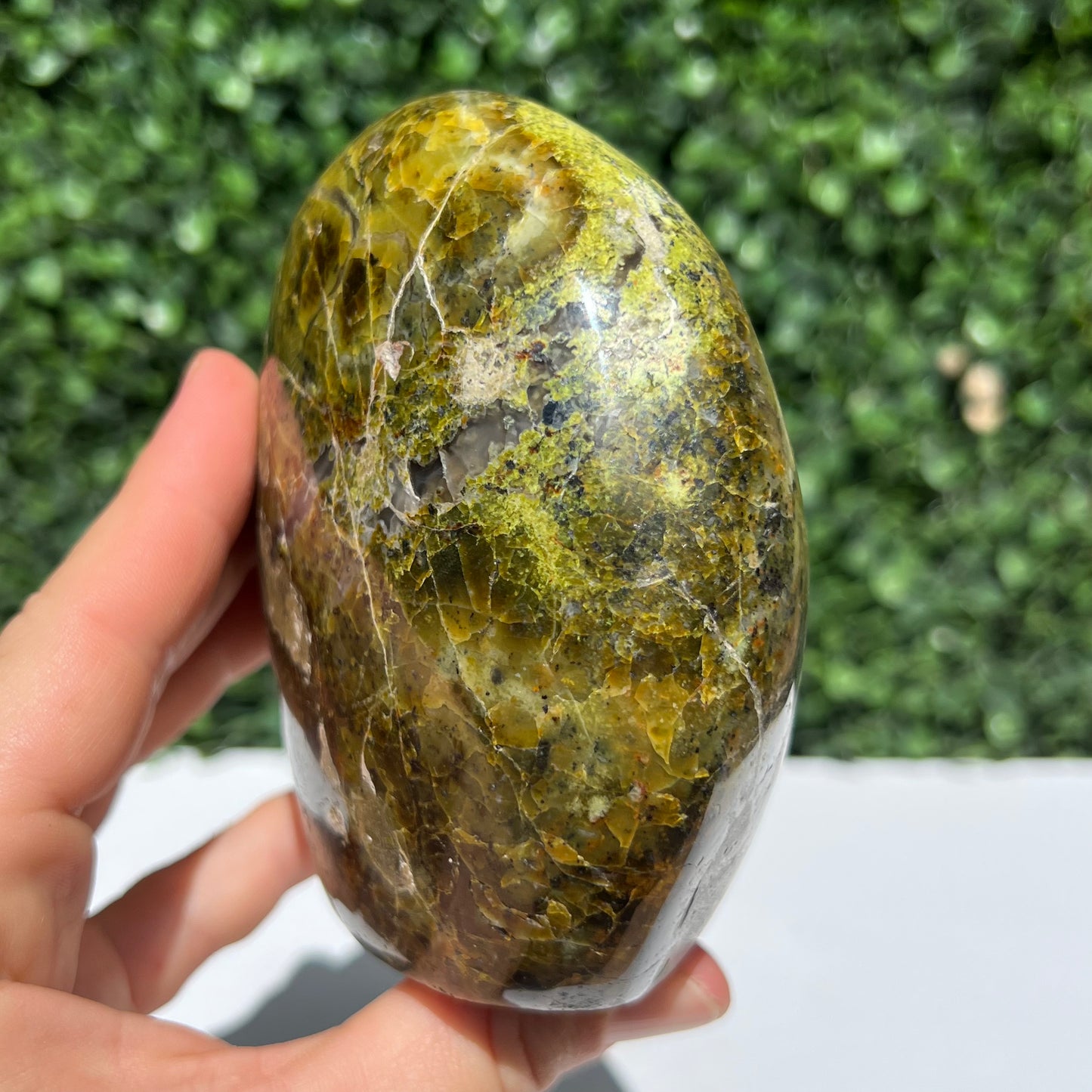 Kiwi Opal Free Form